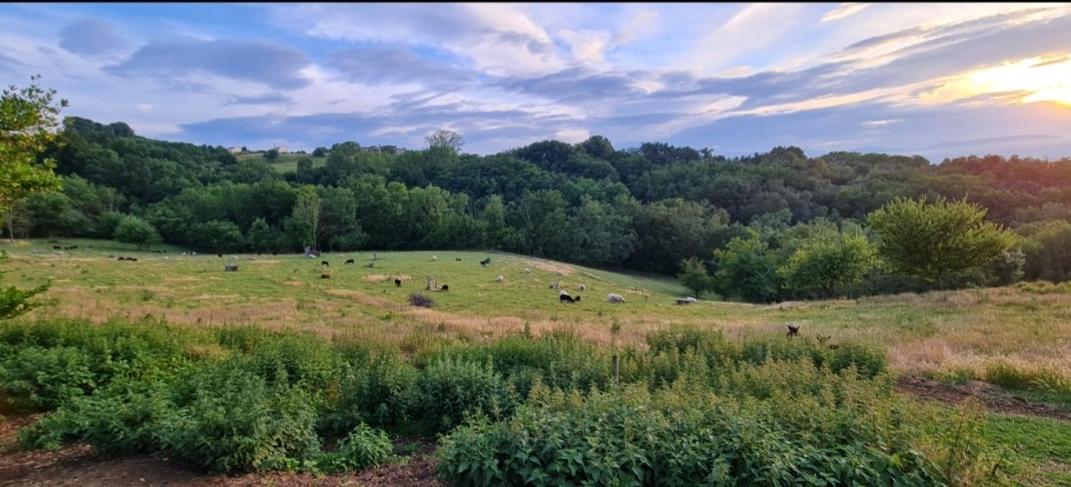 Une pause sur la colline