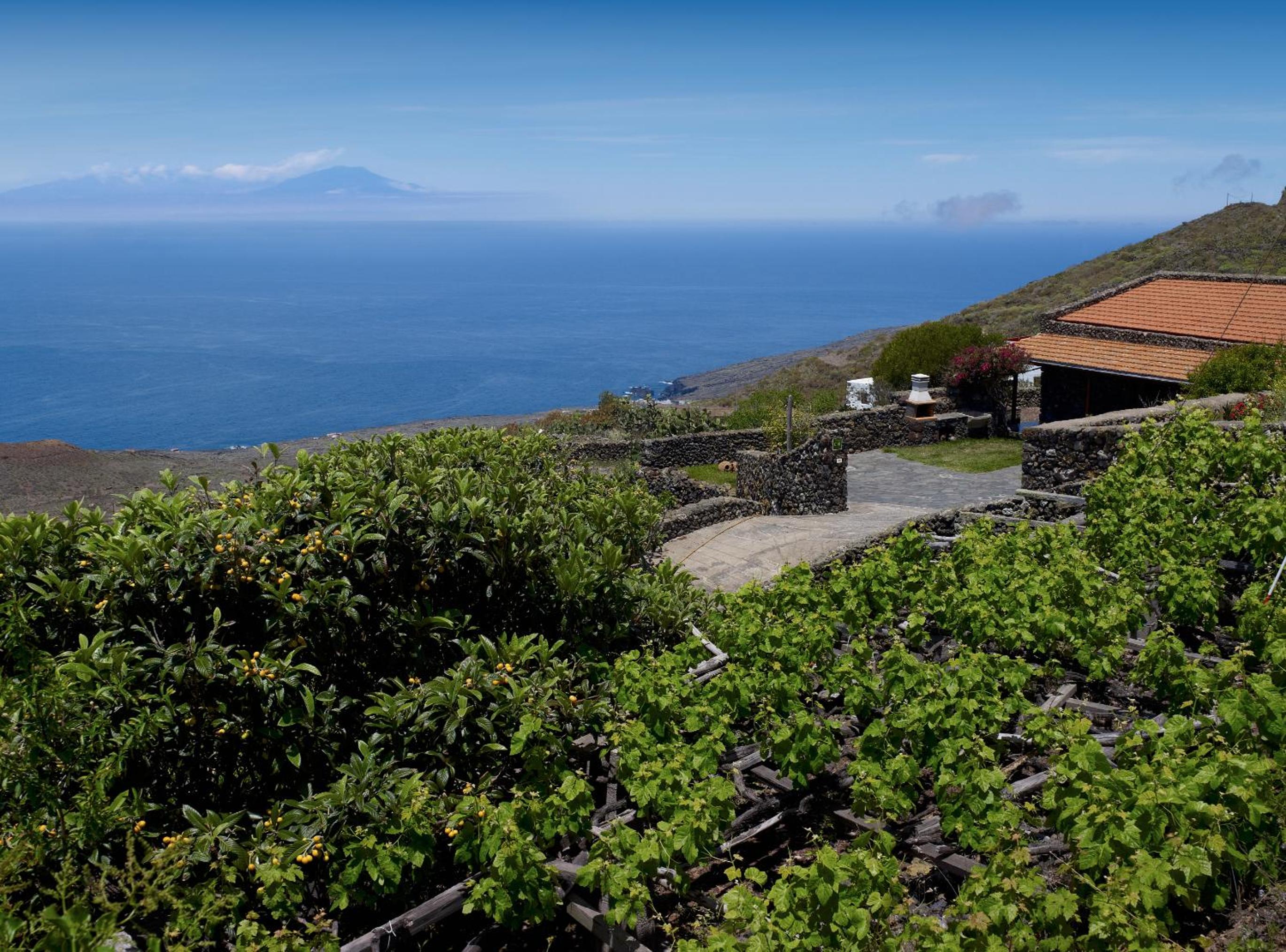 Casa Rural Tia Lucila view 2