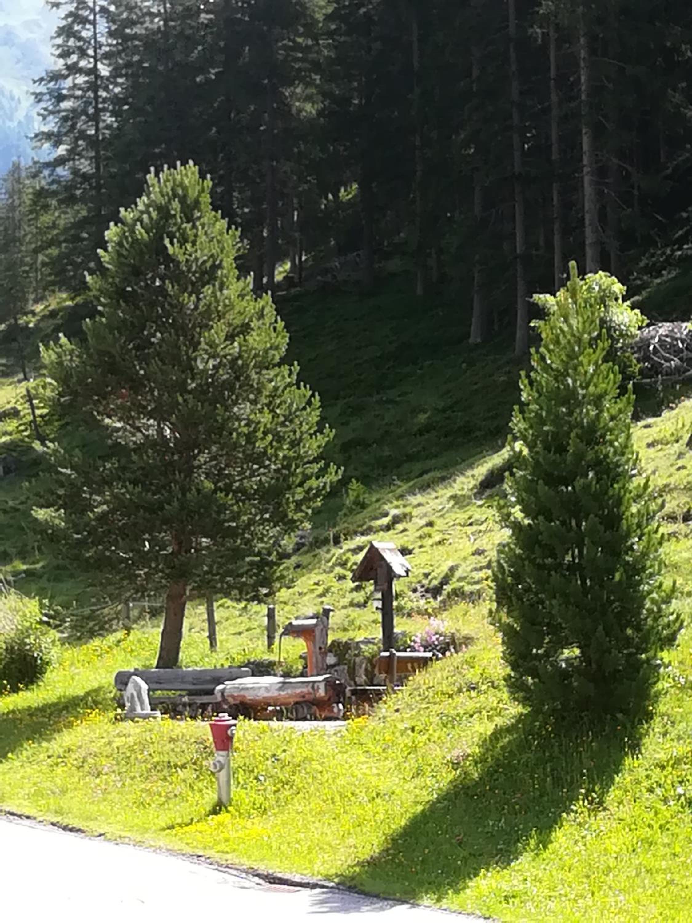 Ferienwohnung Bergblick view 3