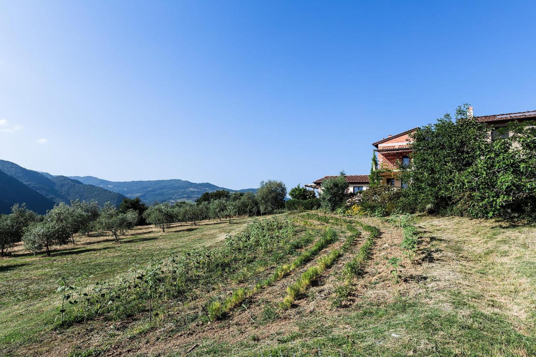 Photo 78