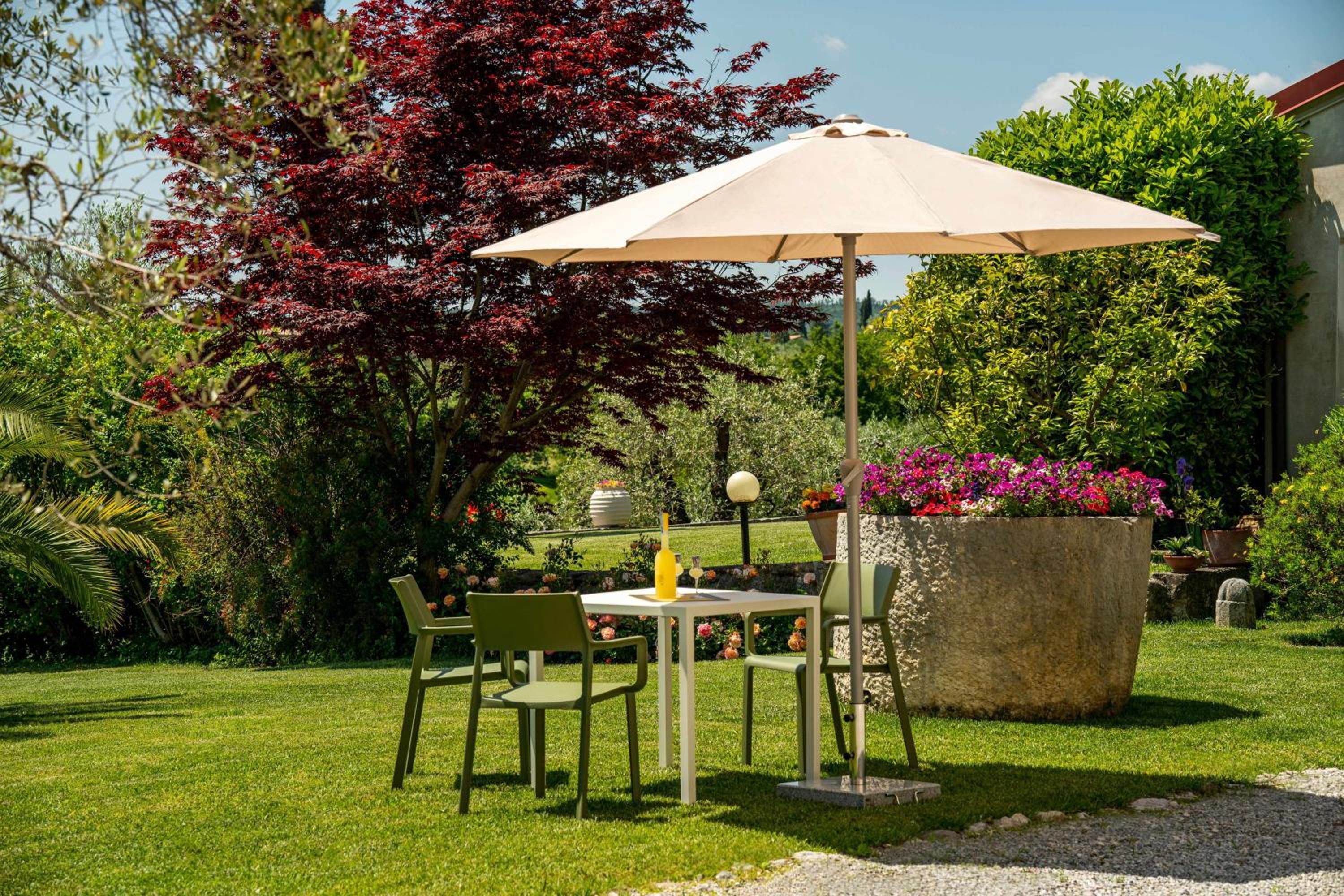 Palazzo Trevignane appartamento La Saletta Verde view 3
