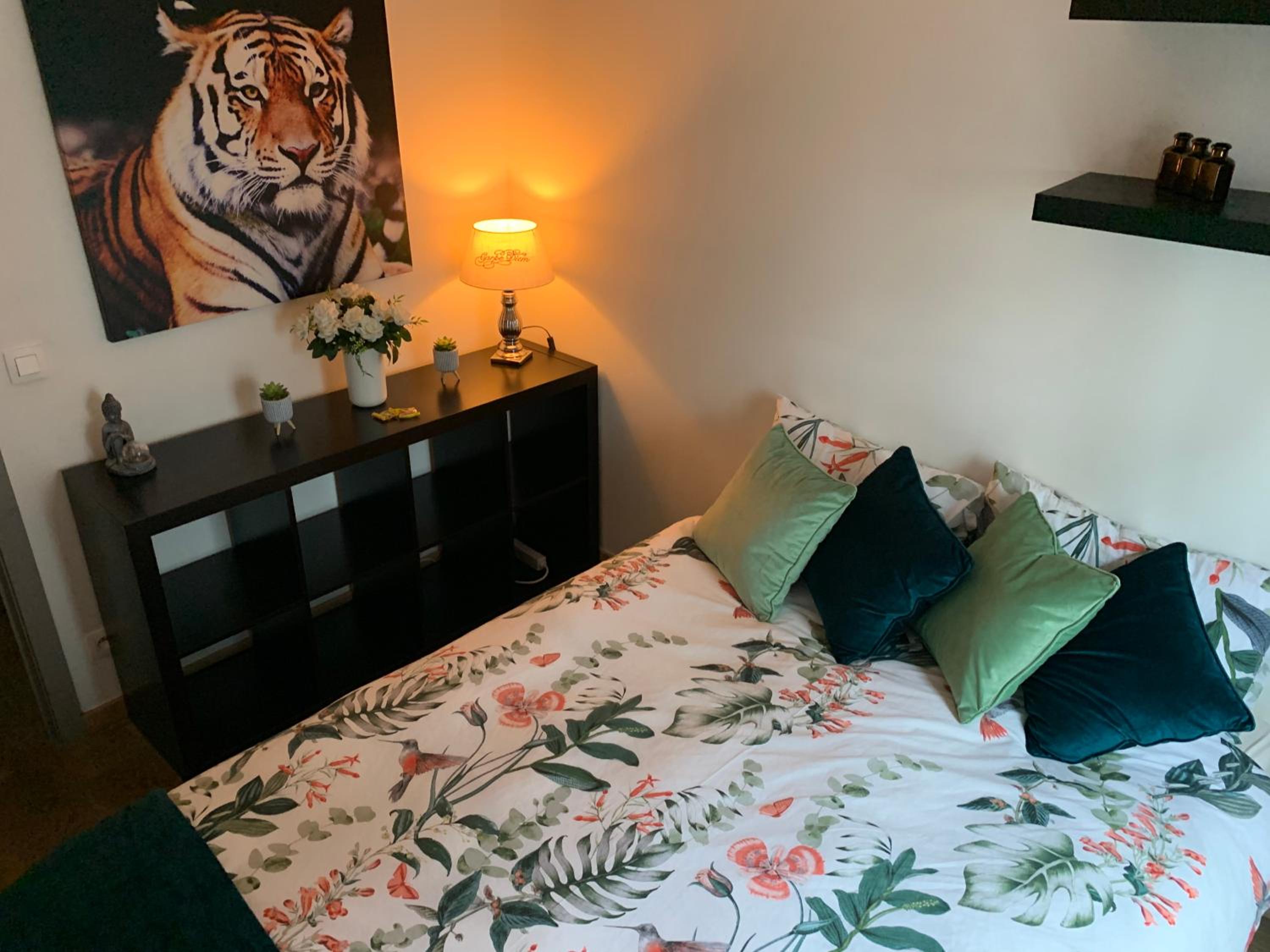 BnB Antwerp Centrum
