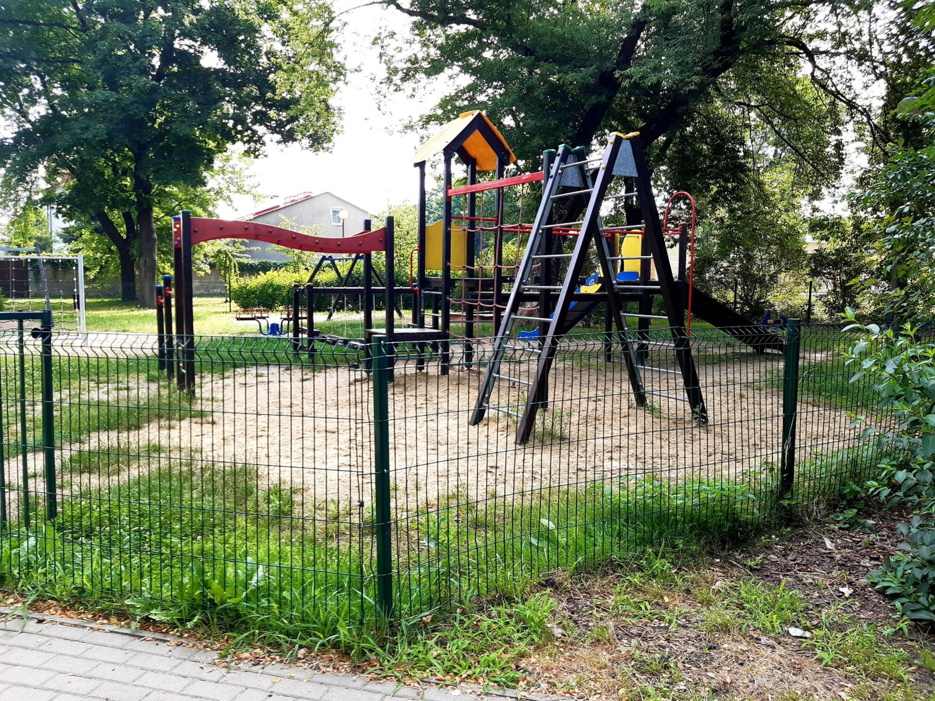 Photo 11