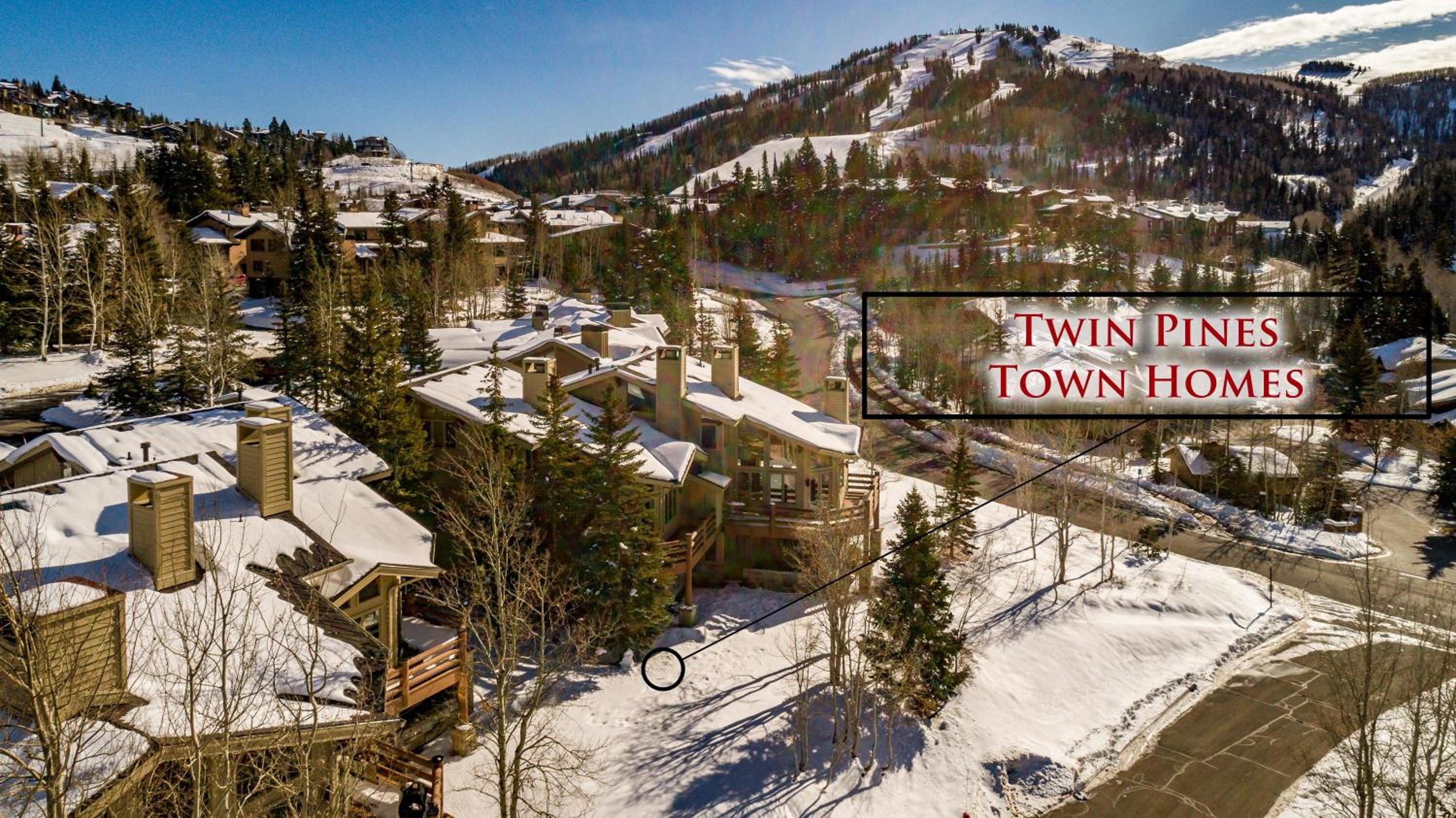 Twin Pines #3