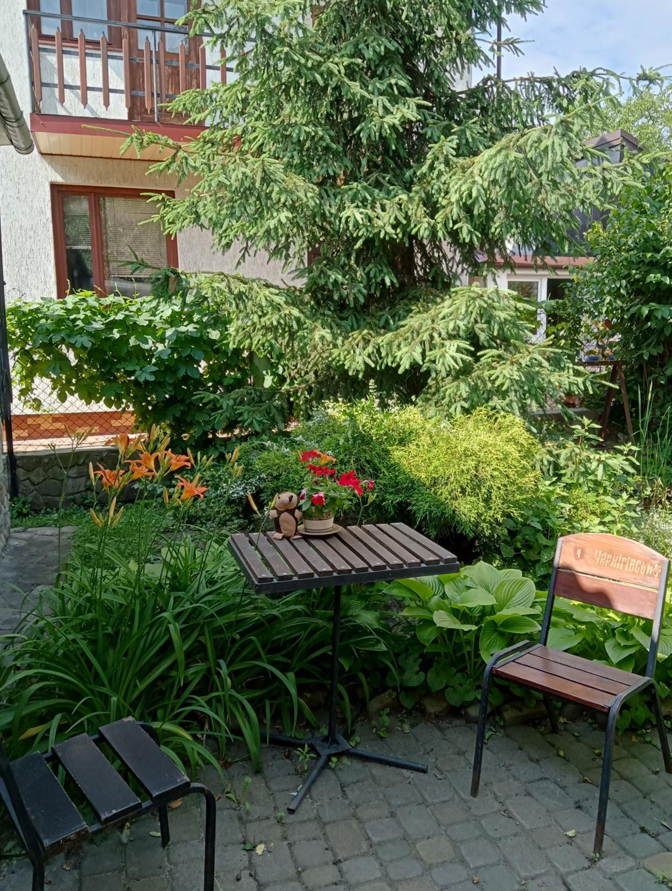 Photo 12