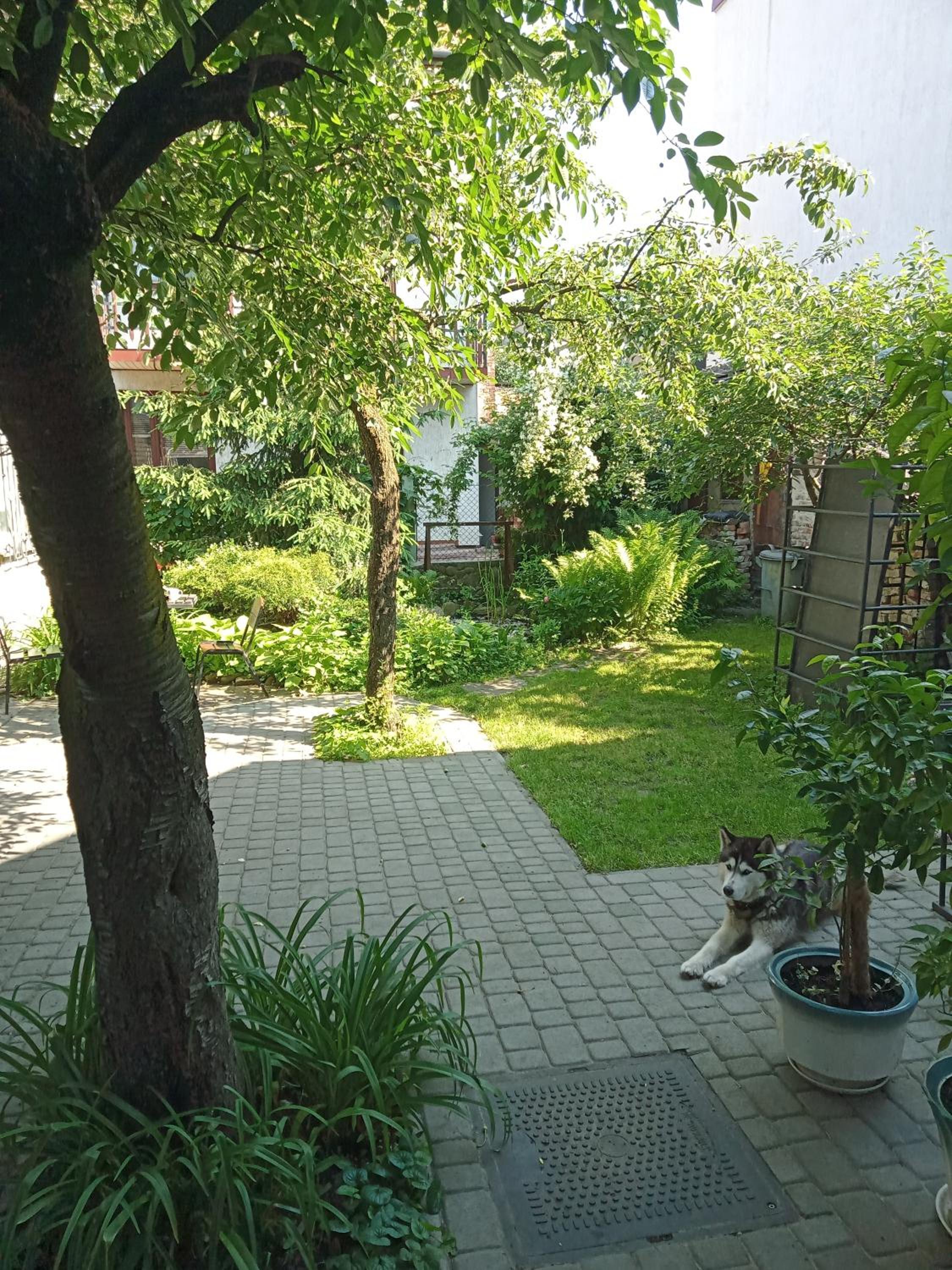 Photo 21