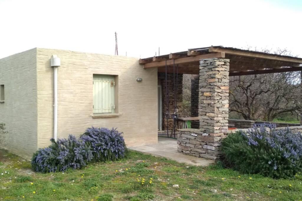 Cottage amidst vines and Oak Trees view 2
