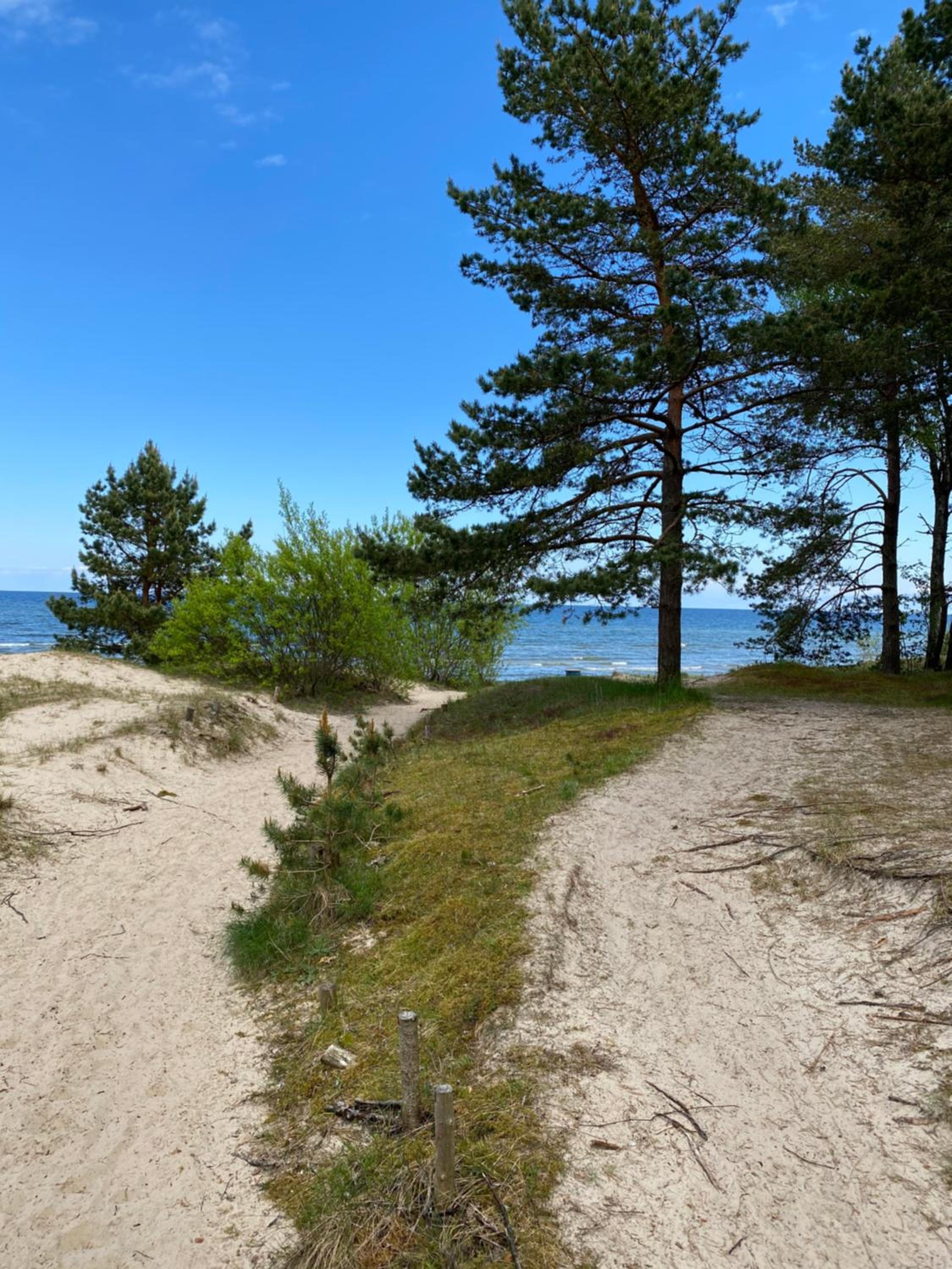 Brīvdienu Māja Riekstnieki view 3