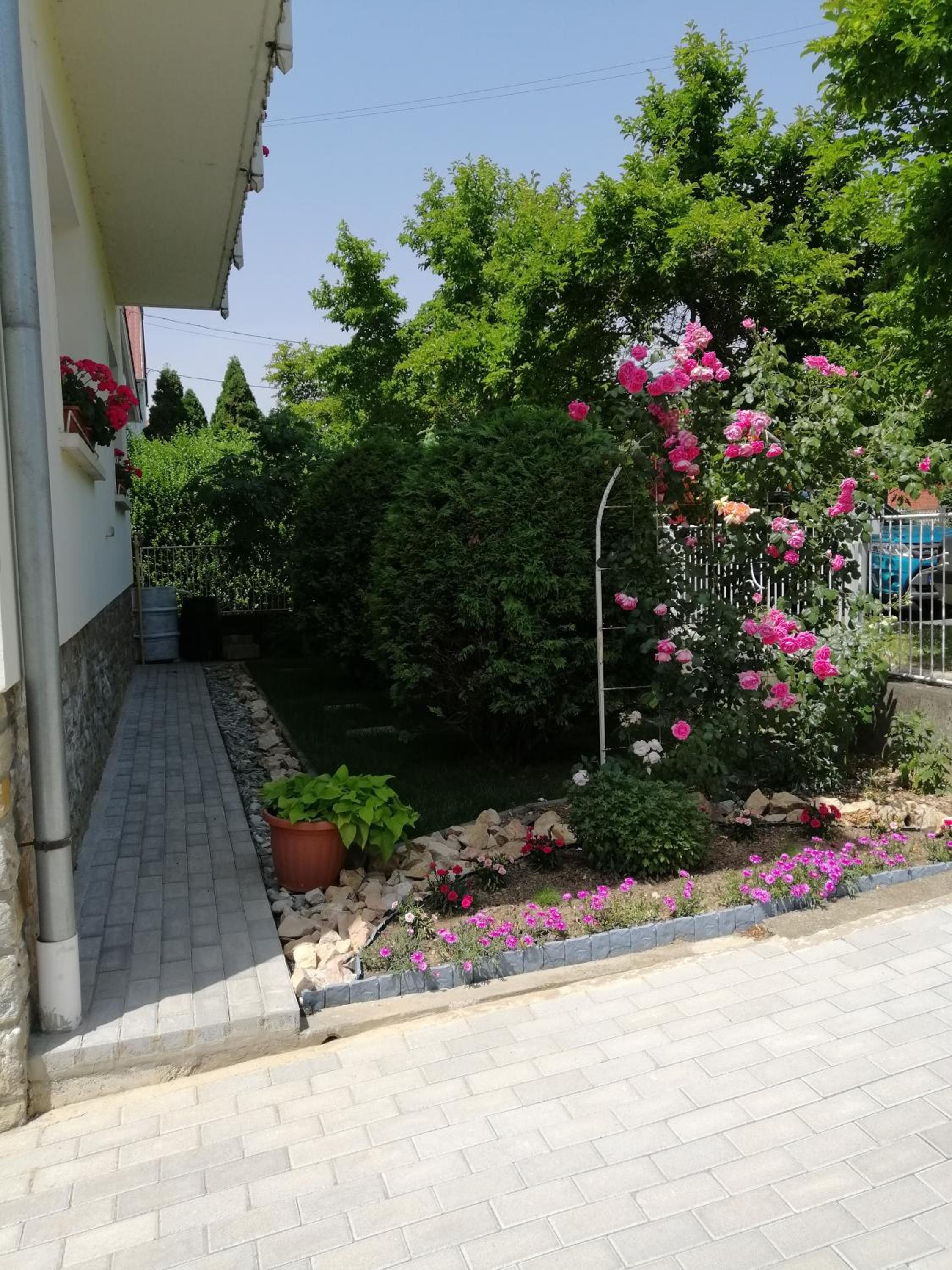 Photo 8