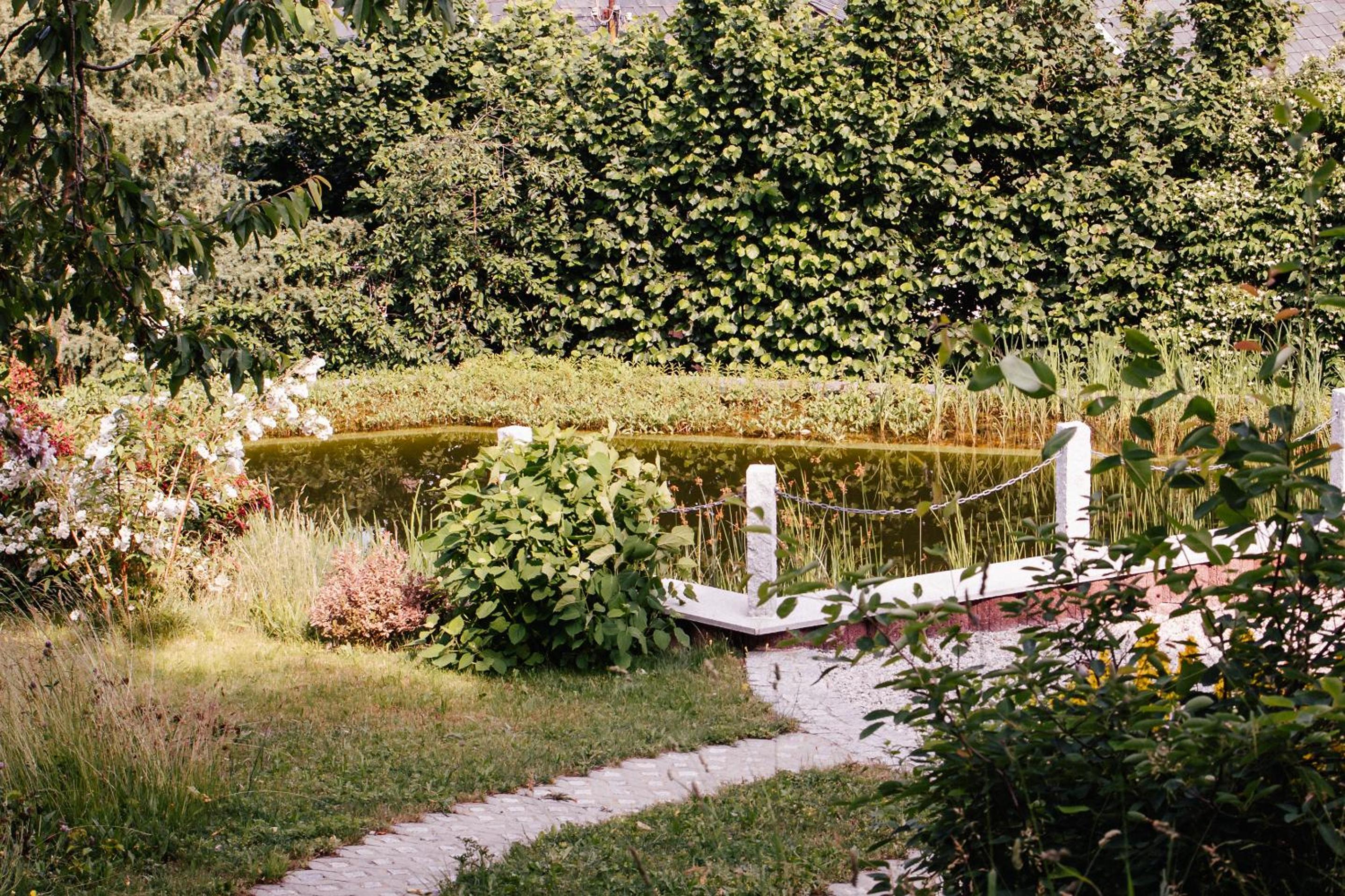 Photo 10