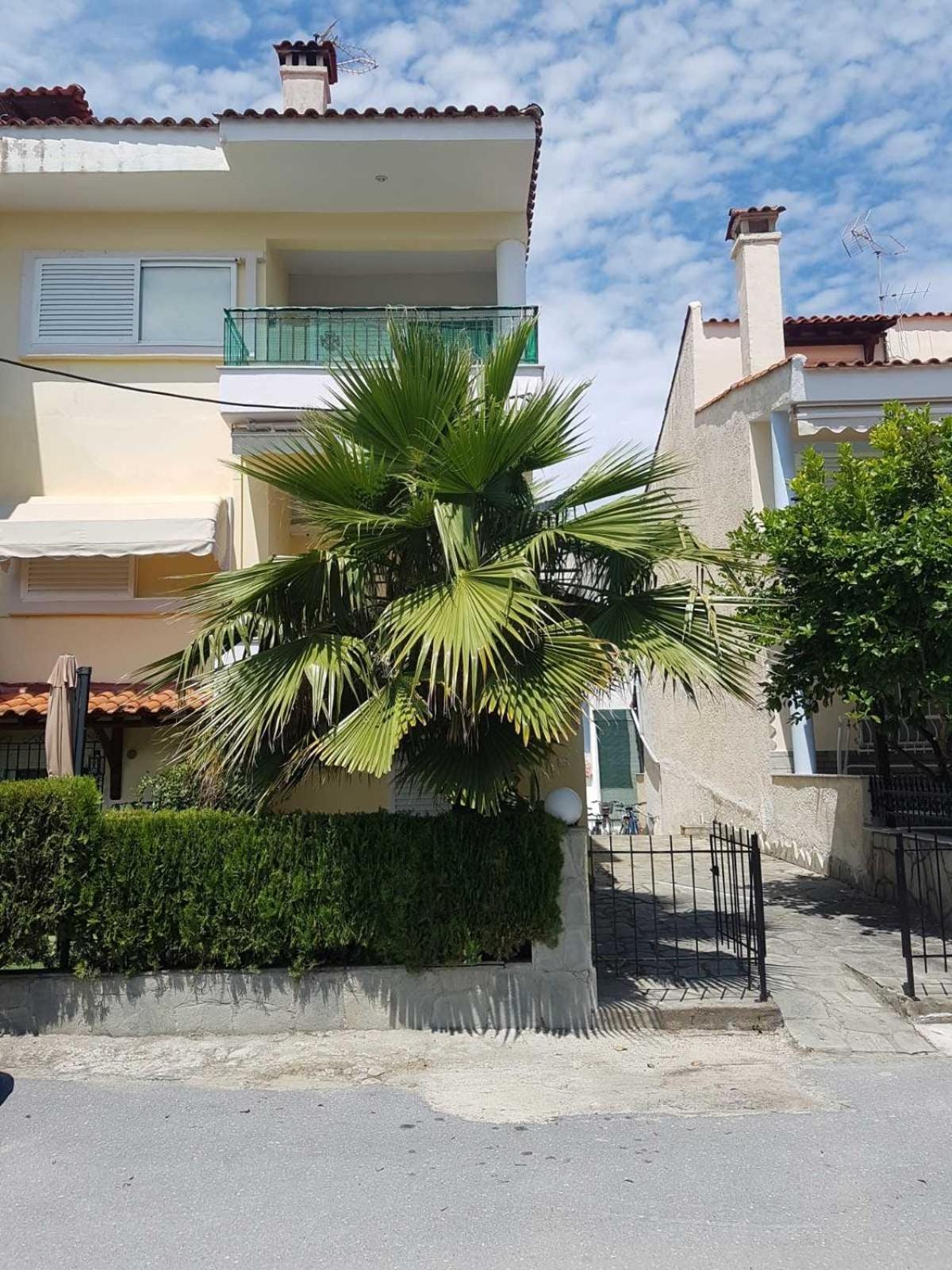 Hotel Apartman Porto Blue Lux - Image 1