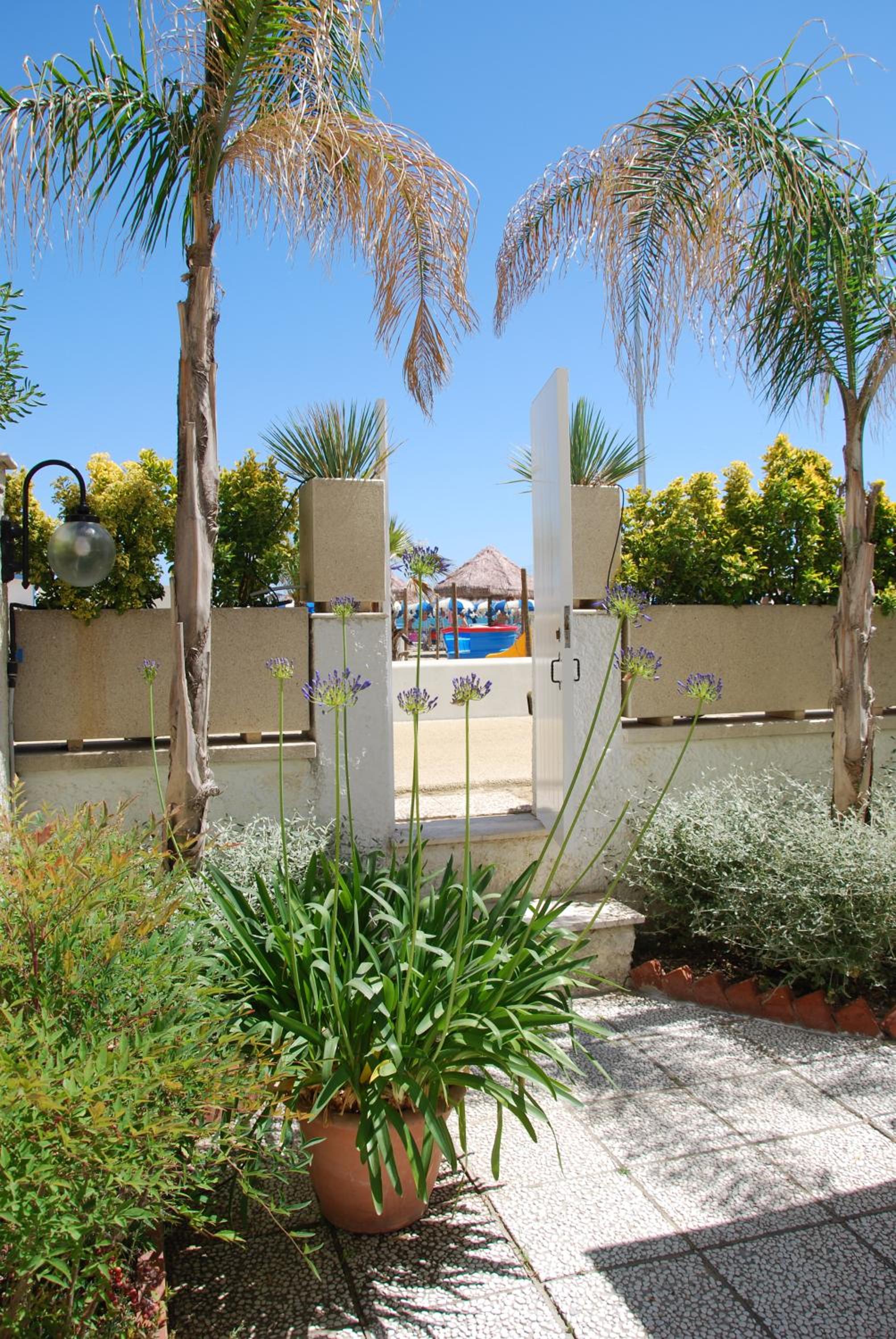 Photo 25