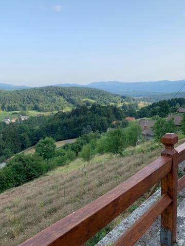 Wine House, Zidanica Gruden view 4
