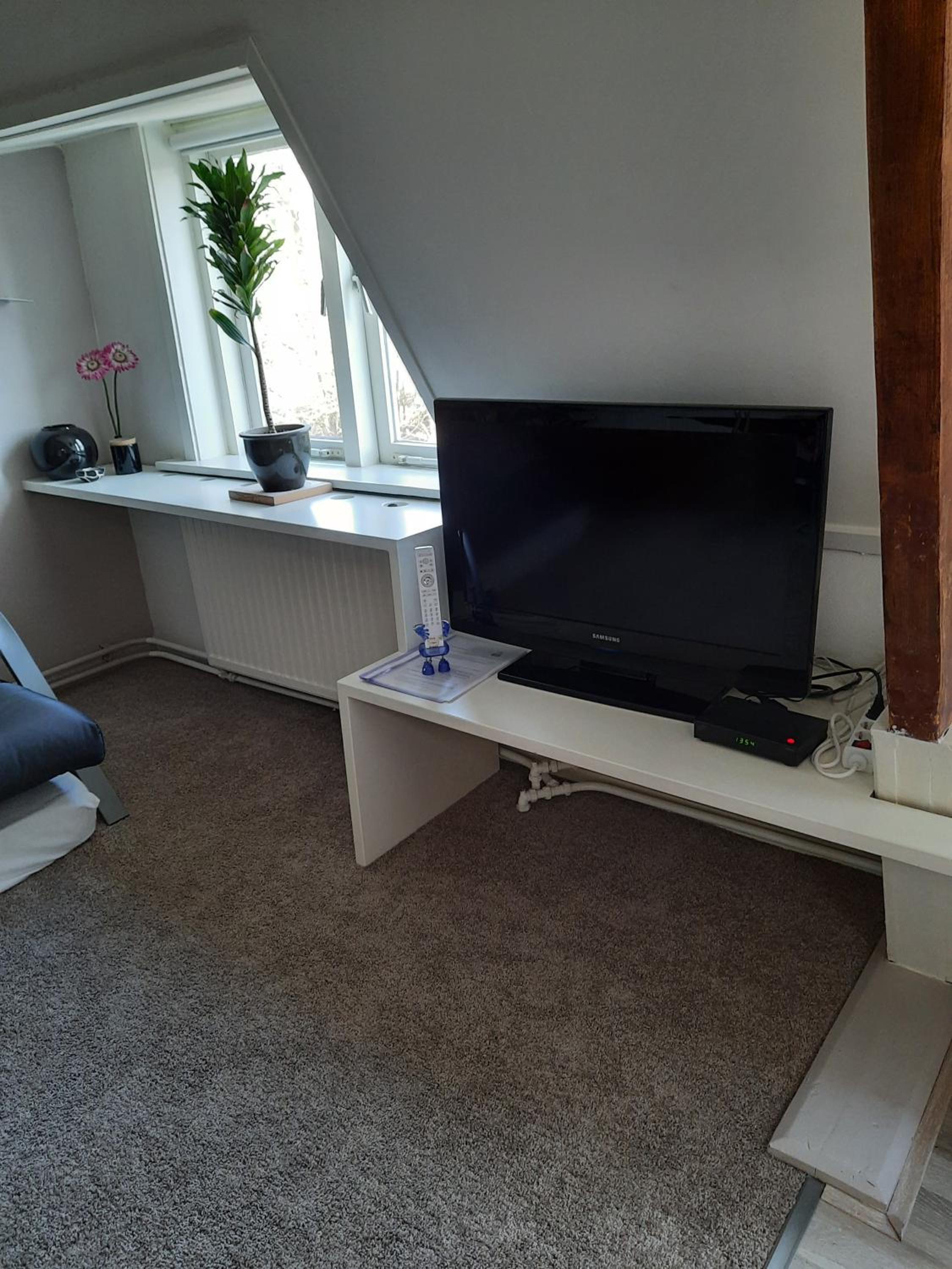 Photo 8