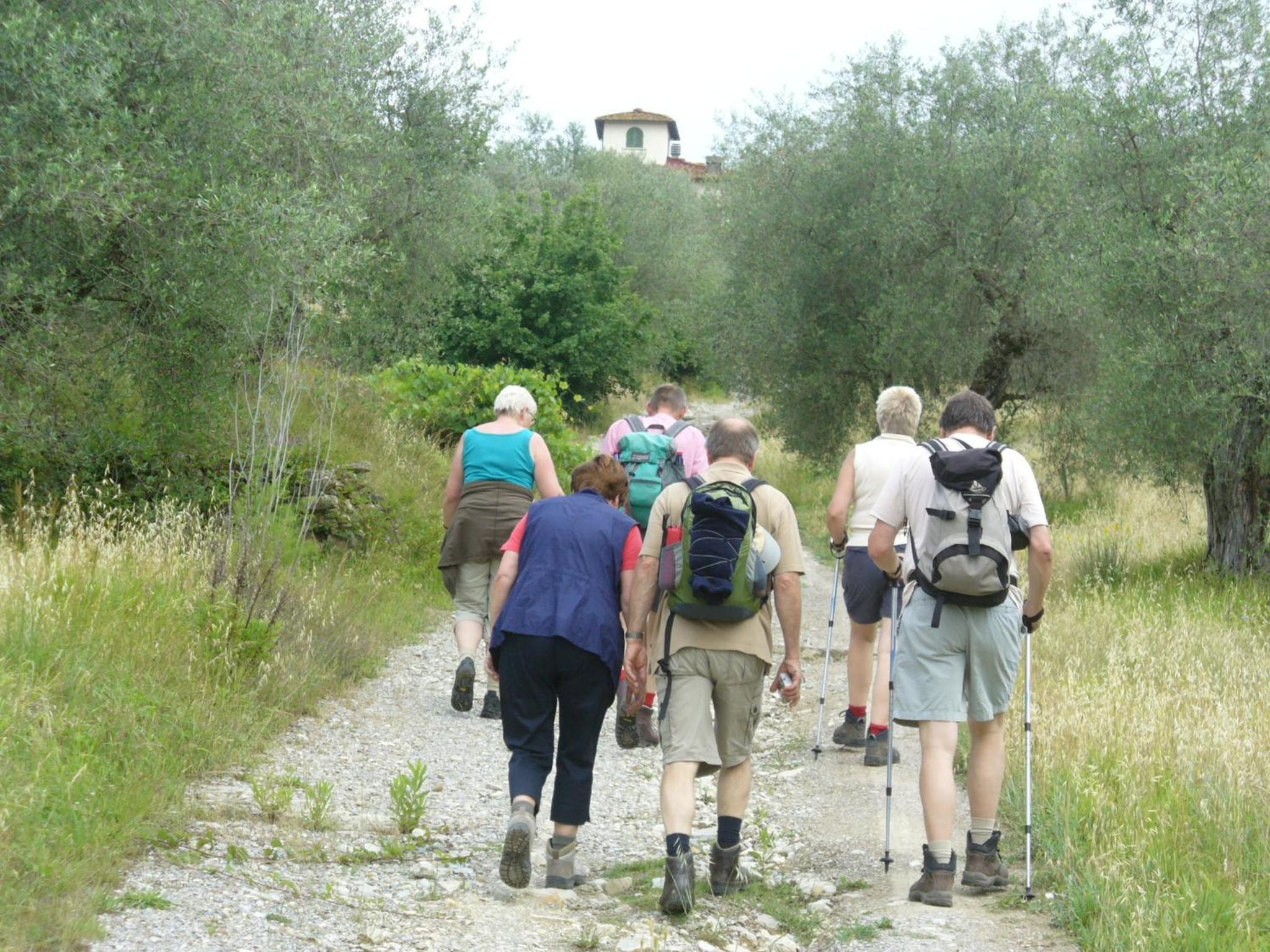 Camping Village Il Poggetto