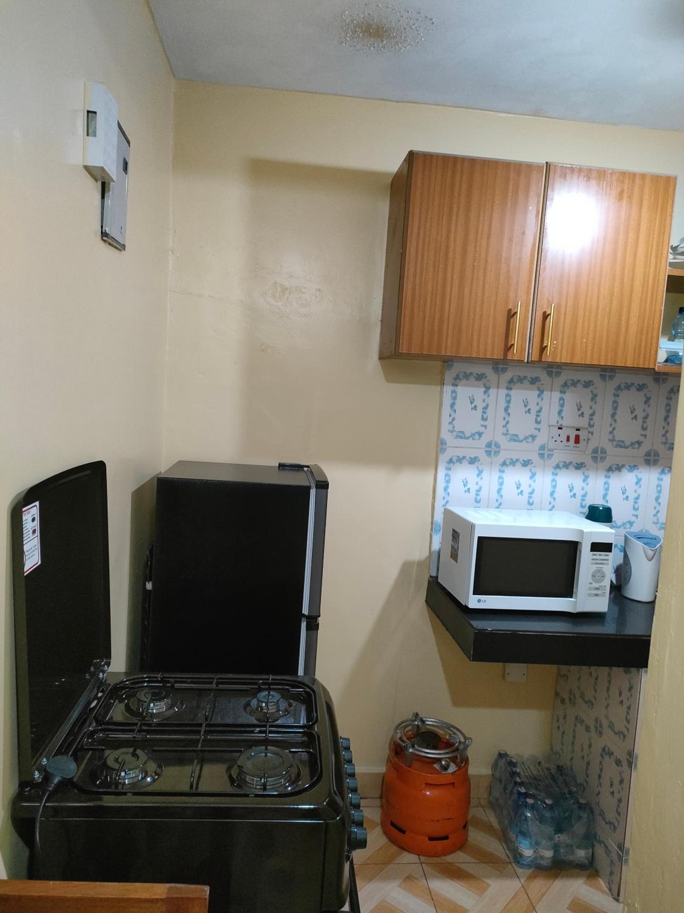 Alken Homes - One Bedroom, Naivasha view 4