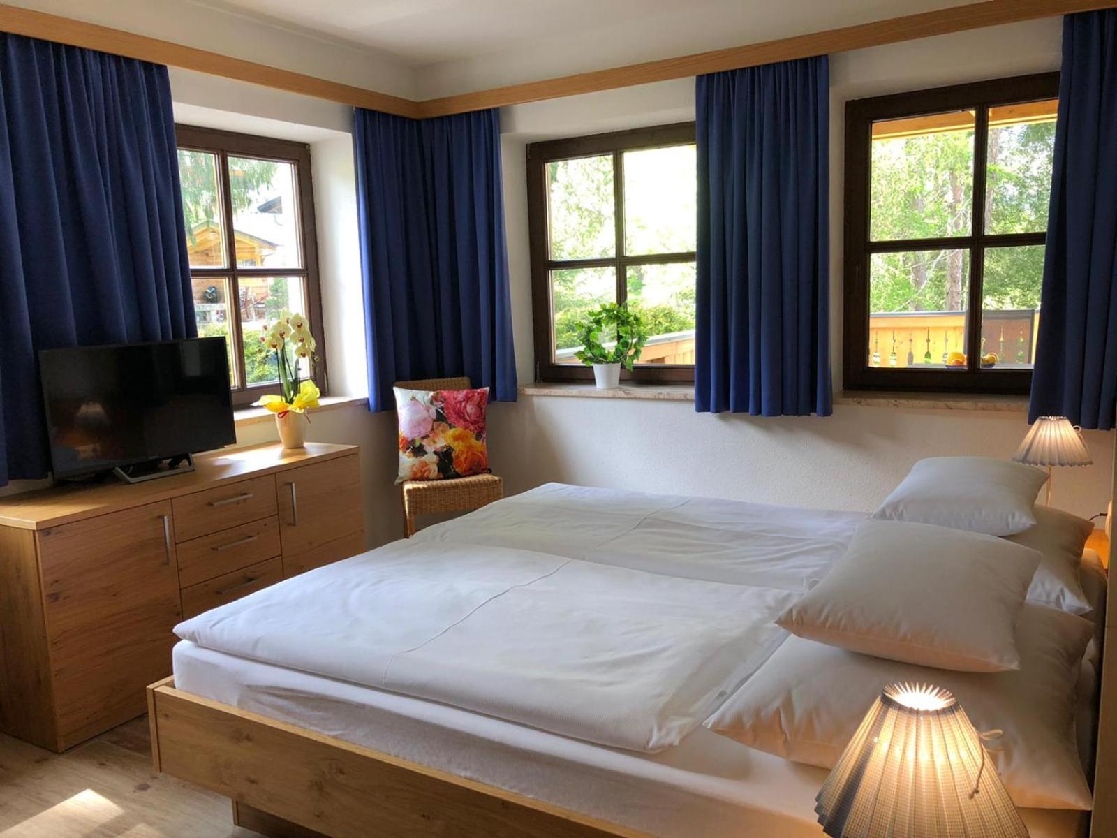 Appartement Schwab Ski in & Out view 4