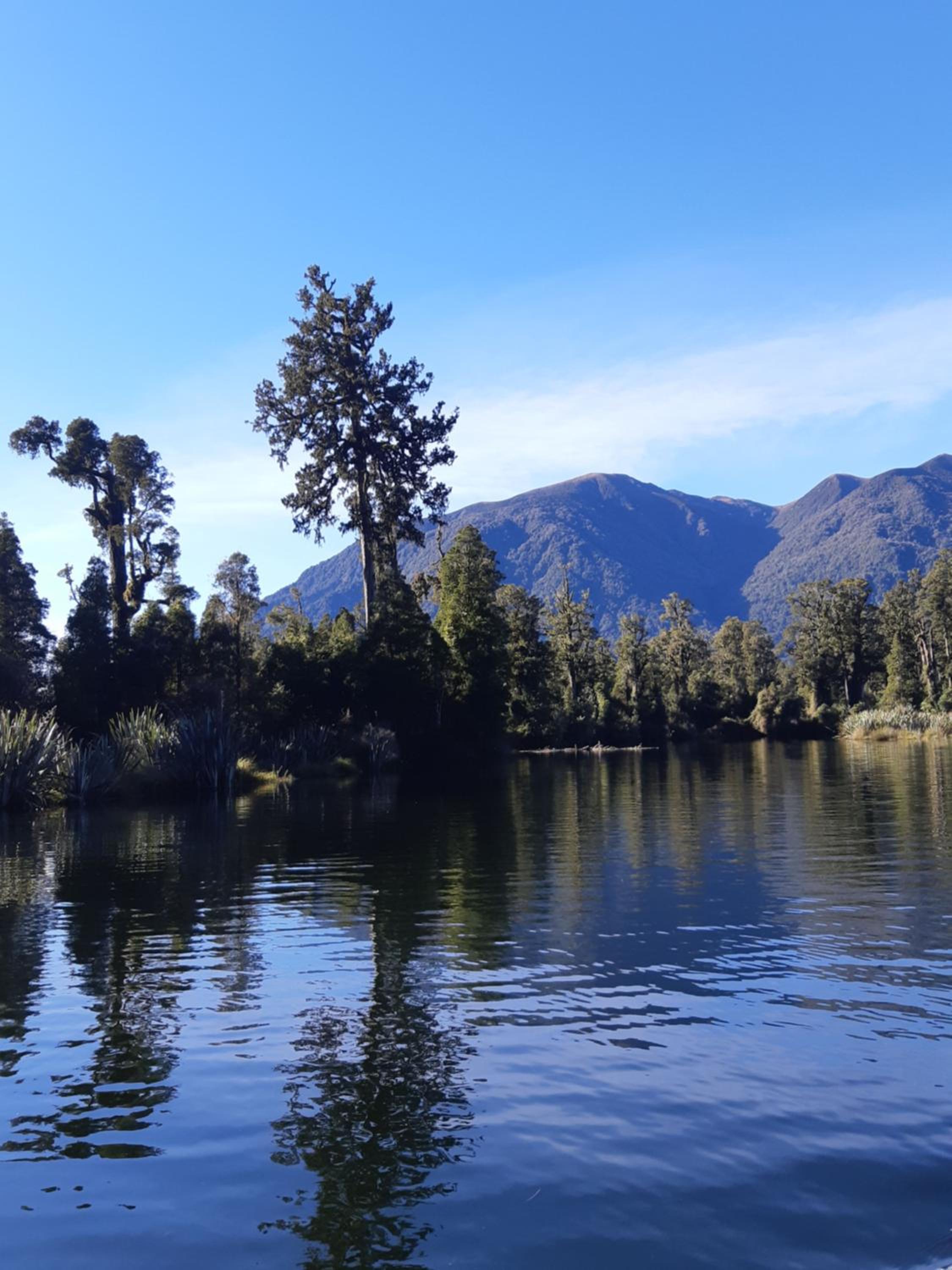 Lake Brunner Eco Lodge