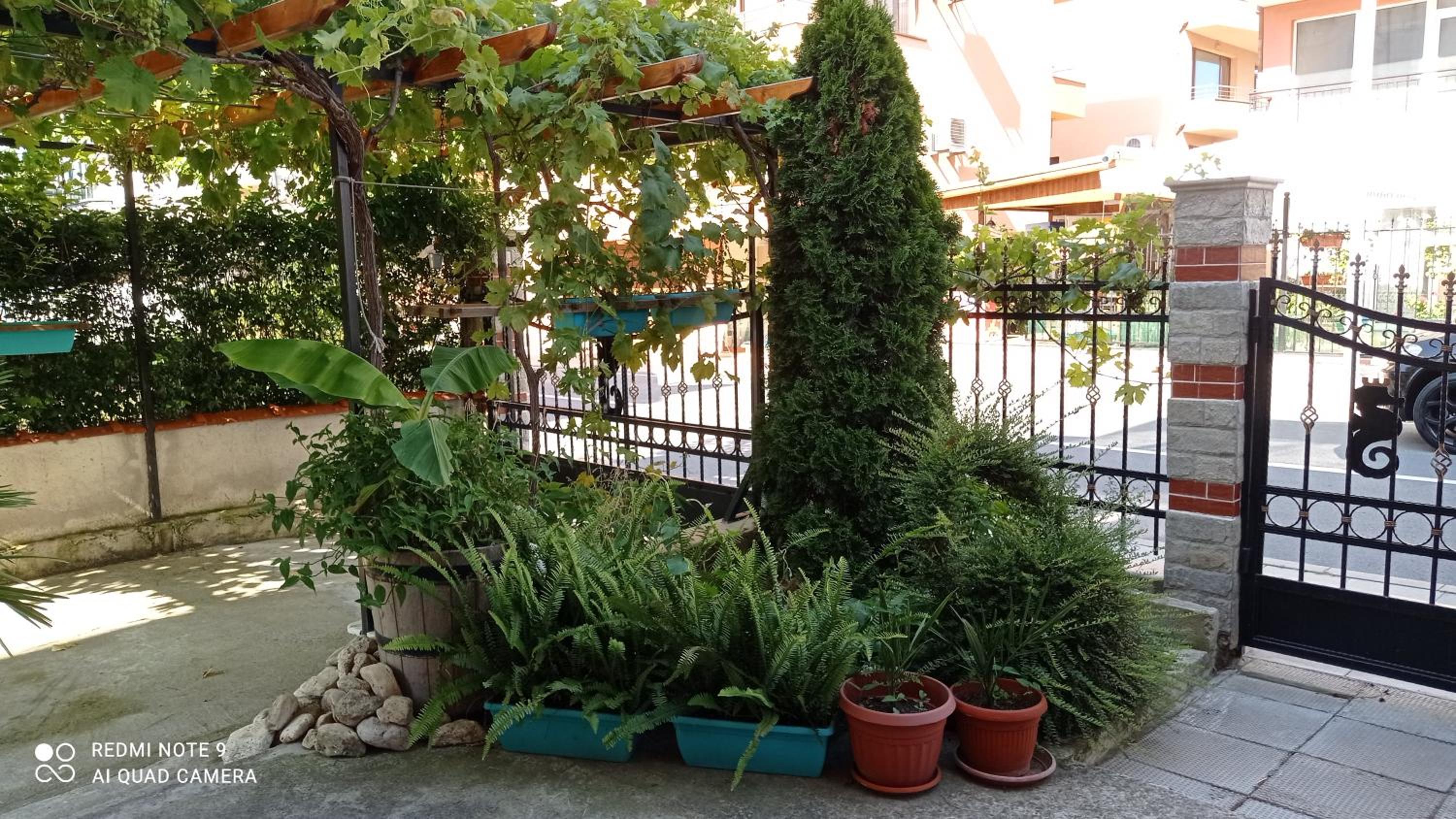 Photo 30