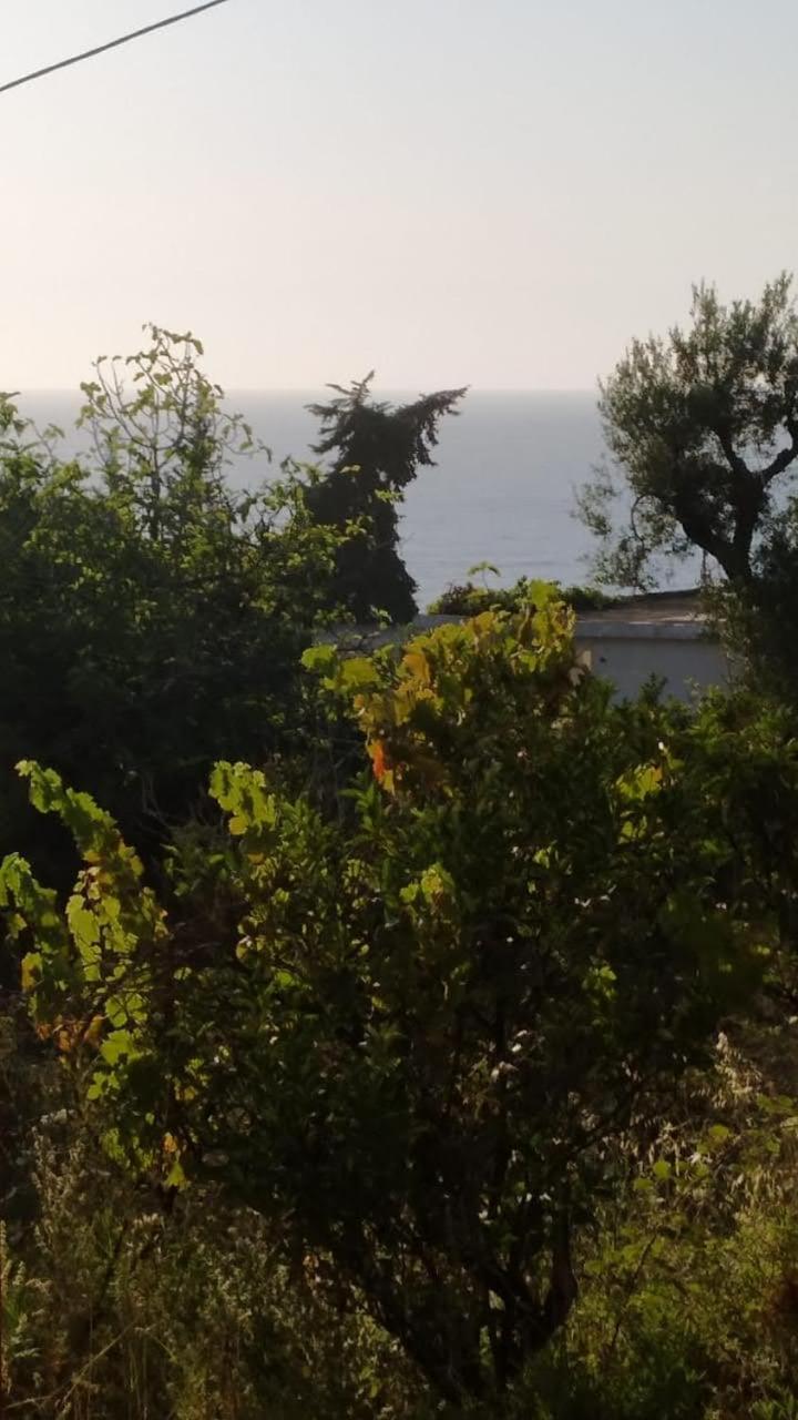 Mullaj Guest House