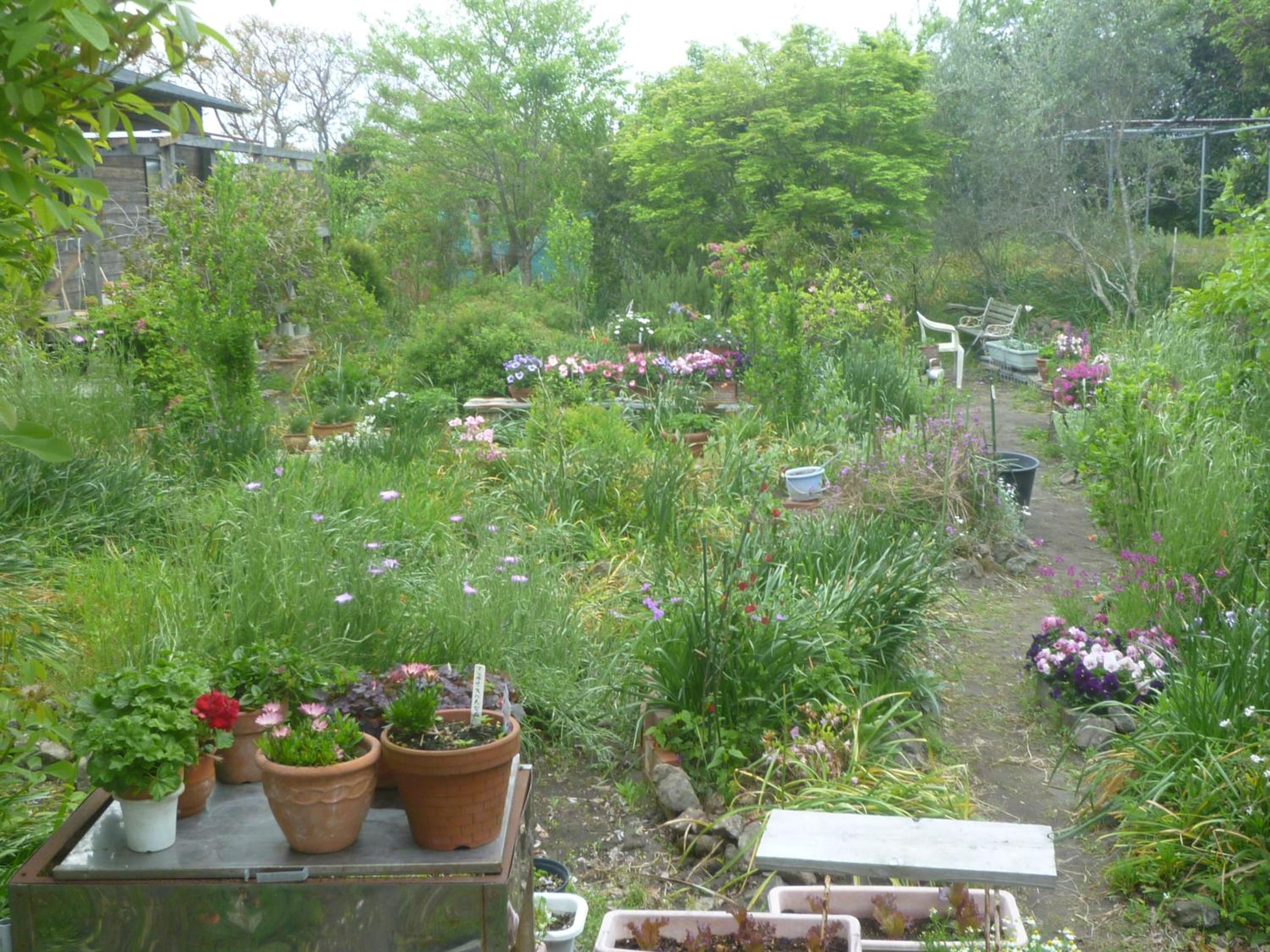 Photo 15