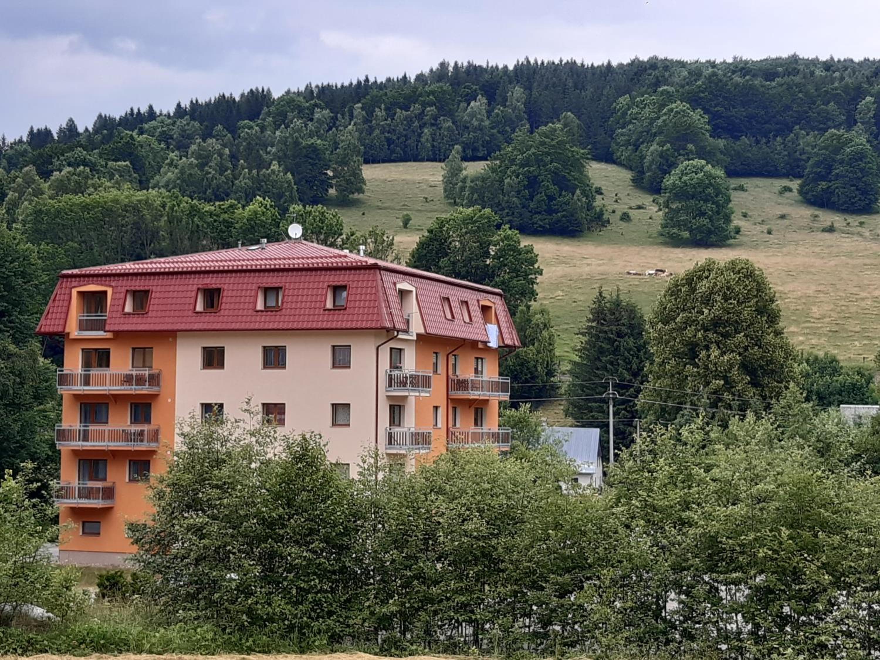 Apartmán Horní Lipová č. 3 view 5