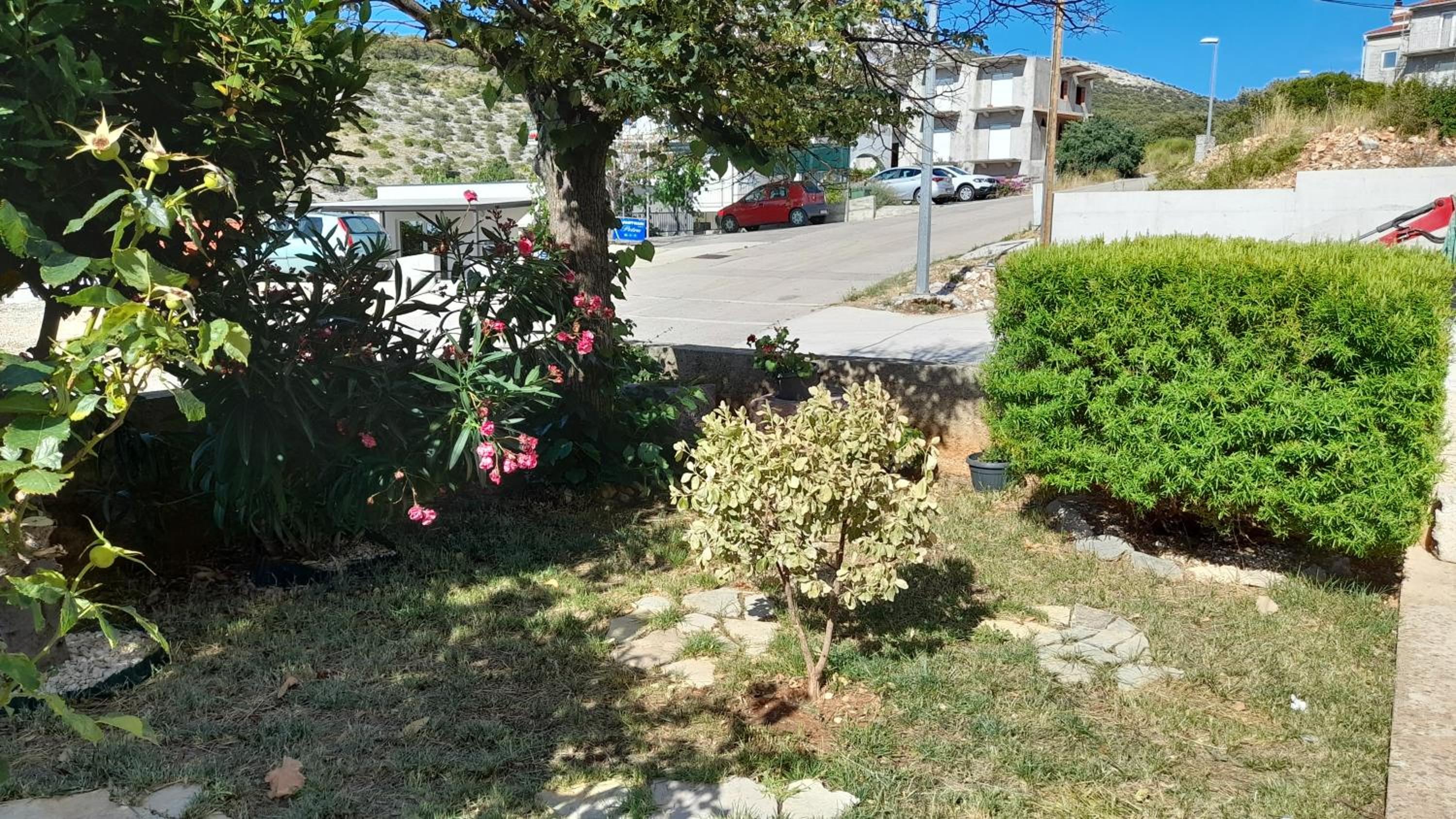 Photo 43