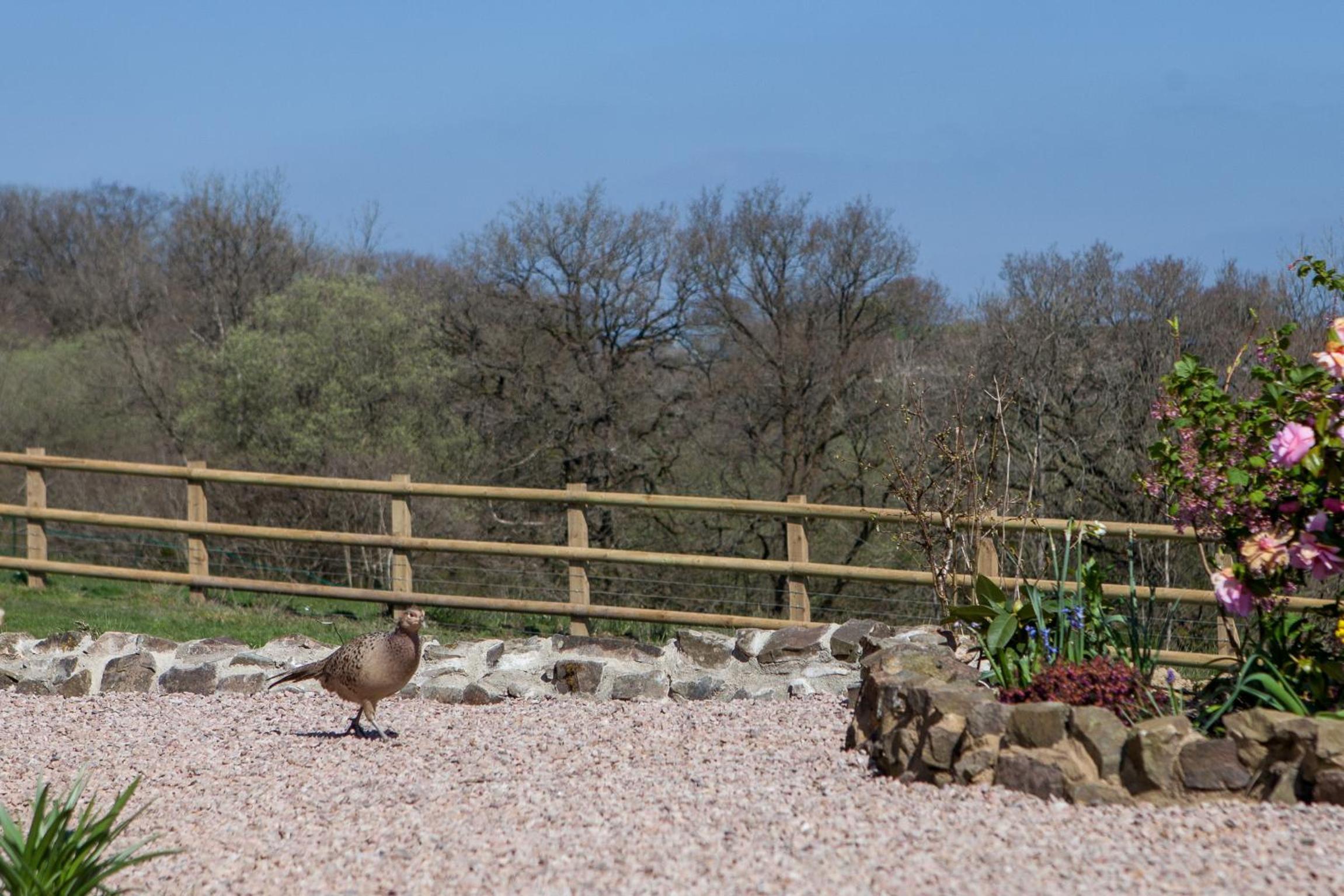 Fernside Bed and Breakfast