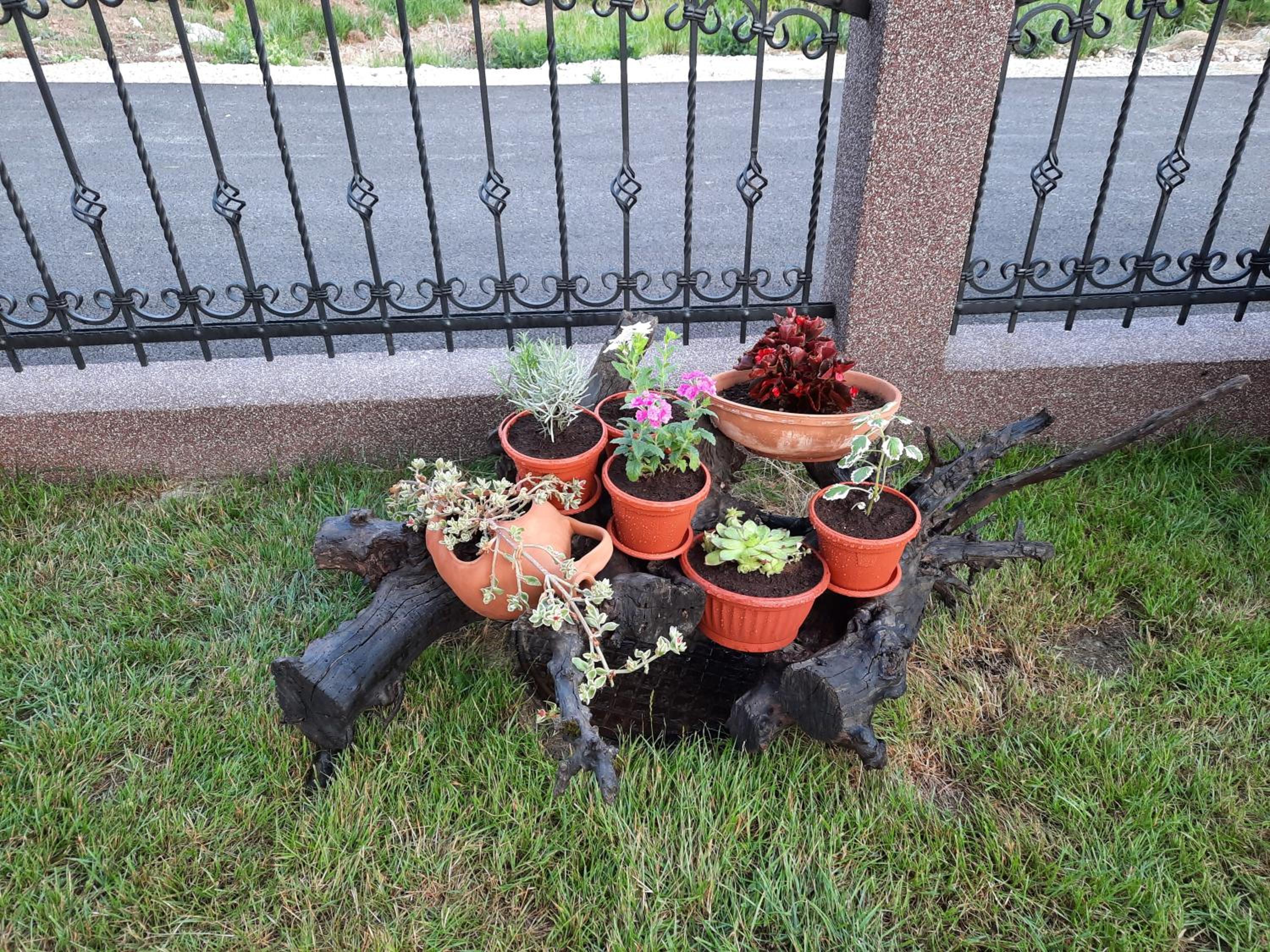 Photo 16