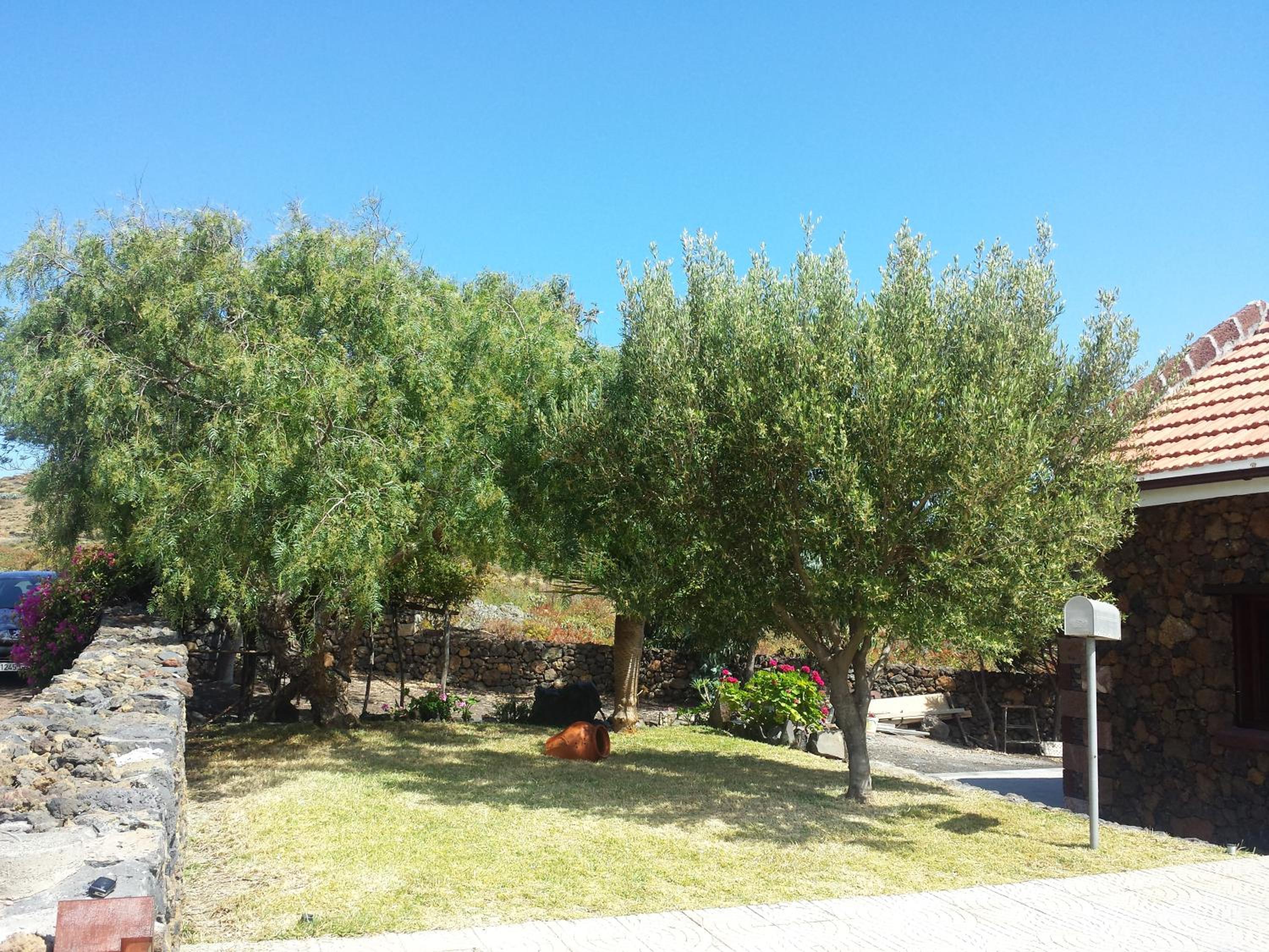 Photo 40