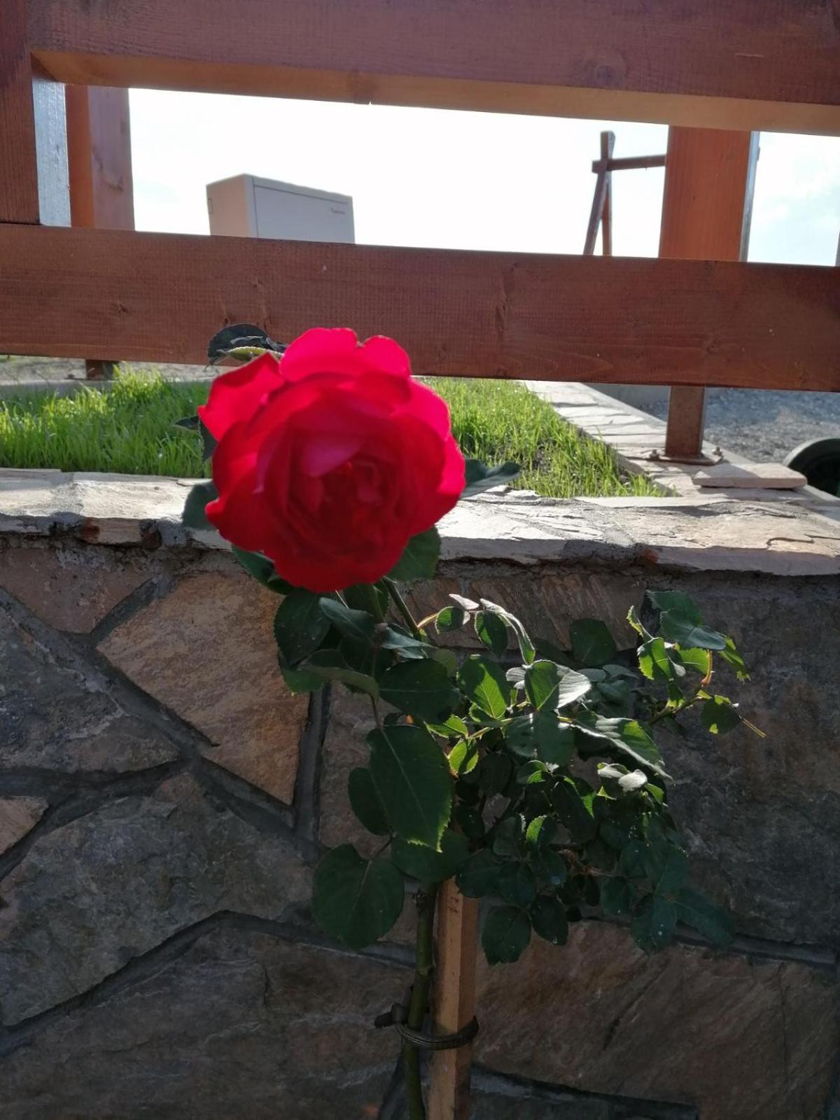 Photo 43