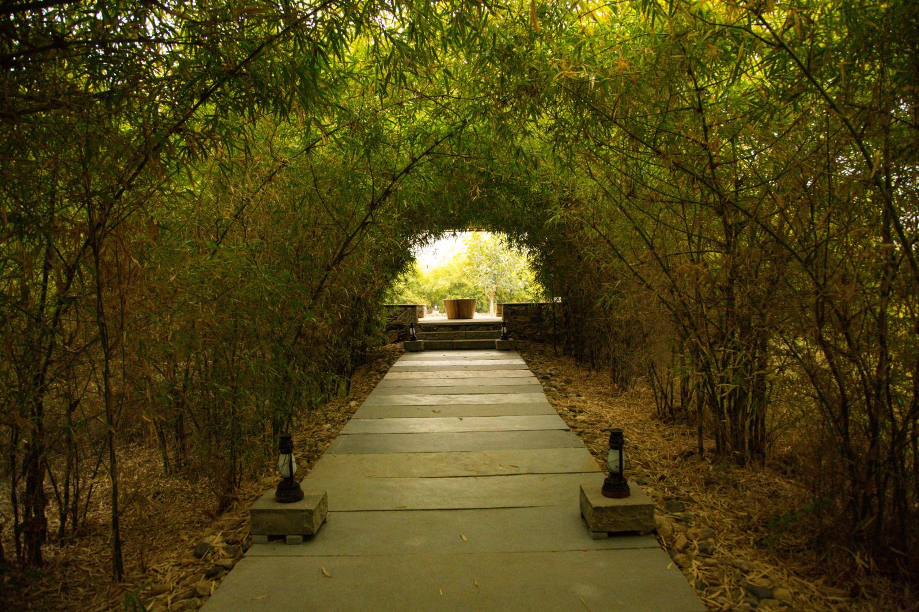 Bijapur Lodge Jawai