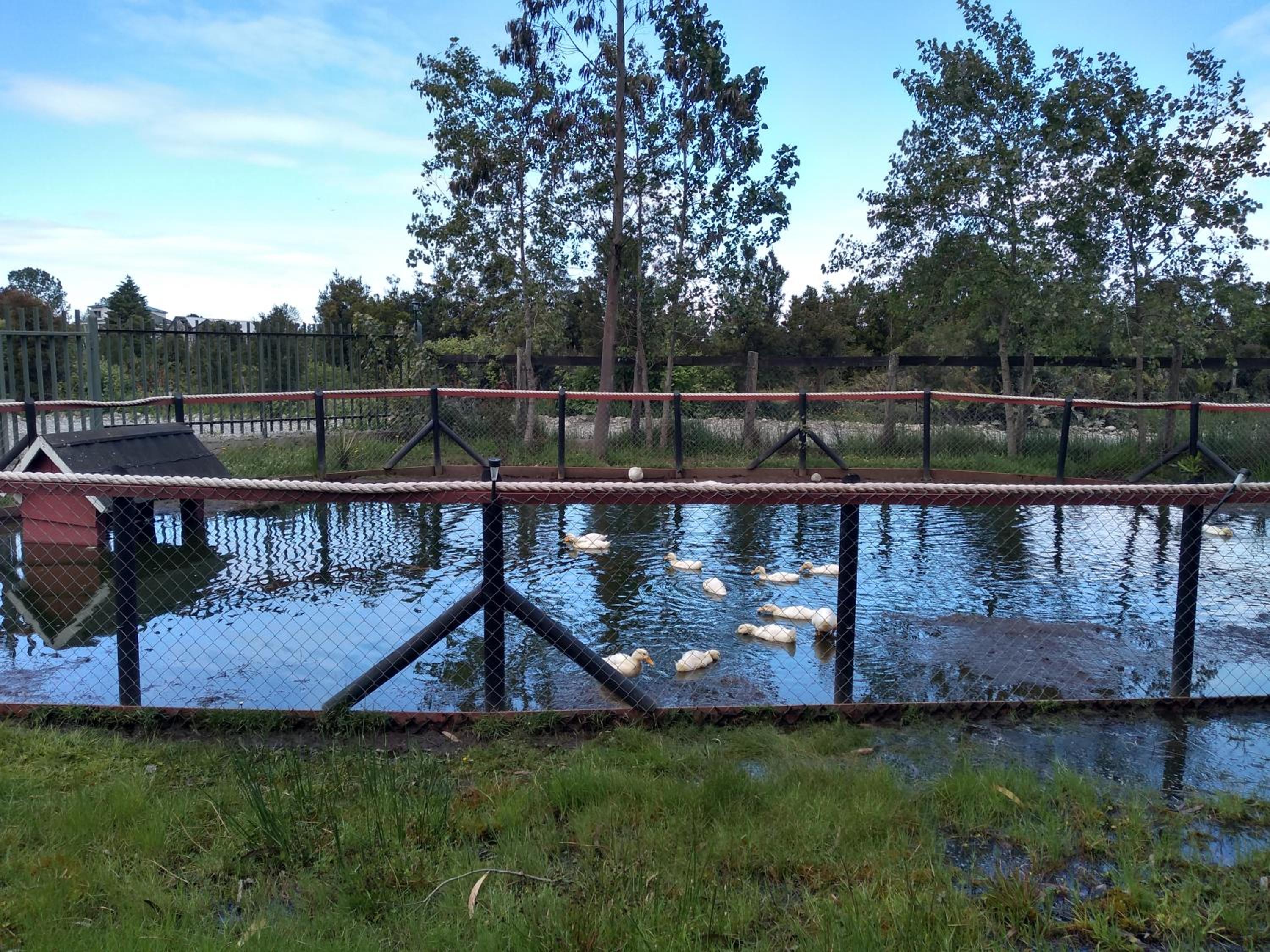 Photo 33