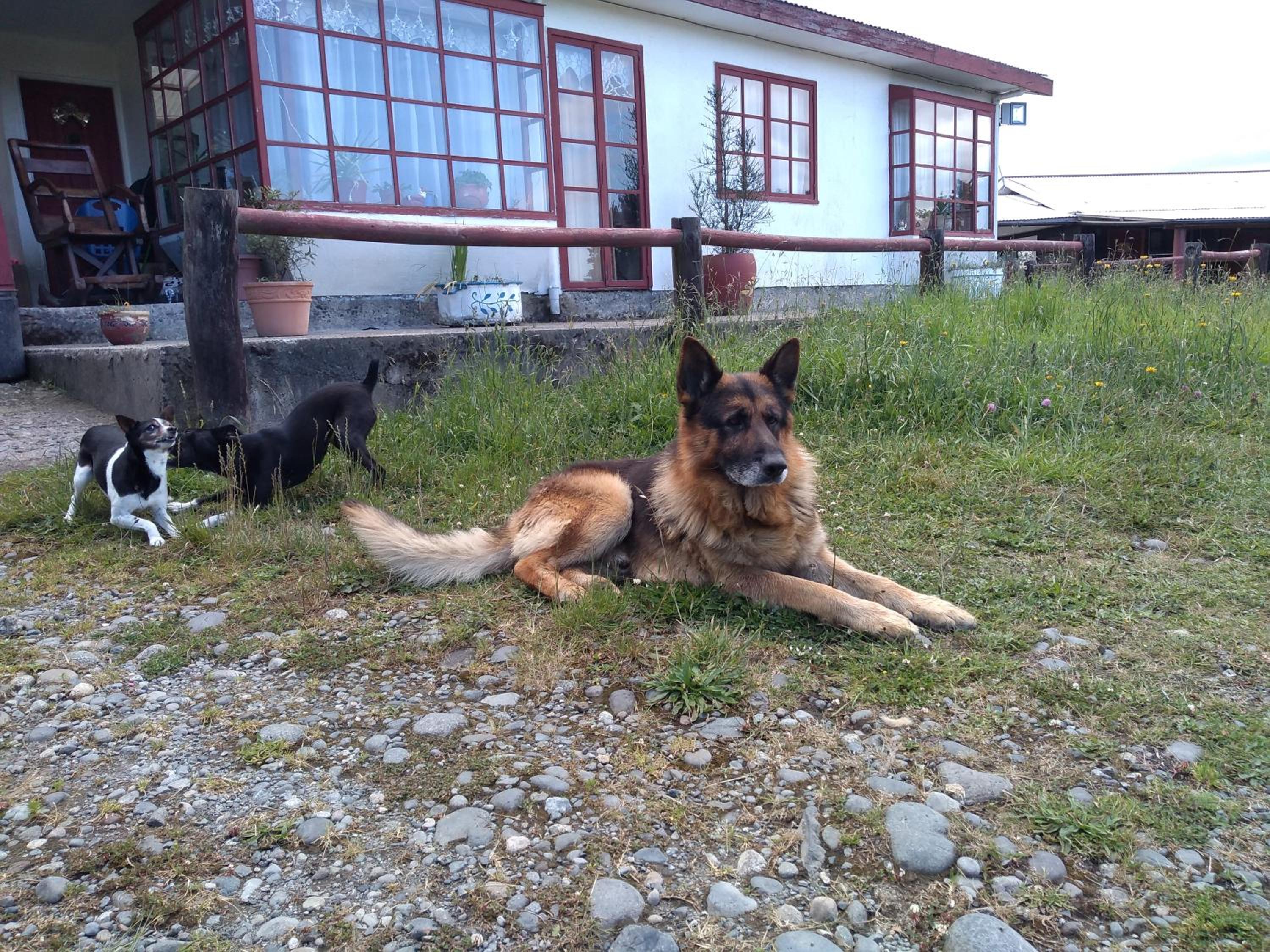Photo 32