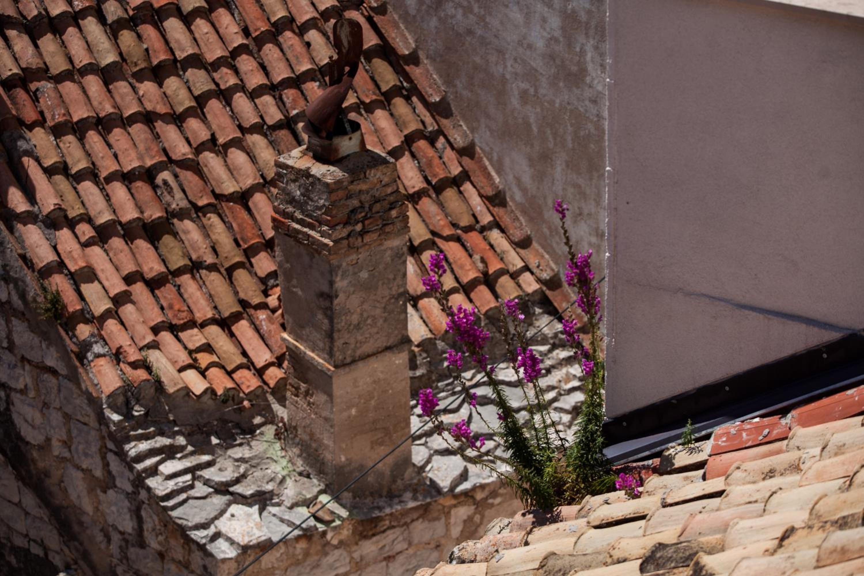 Komiza Provita Guesthouse
