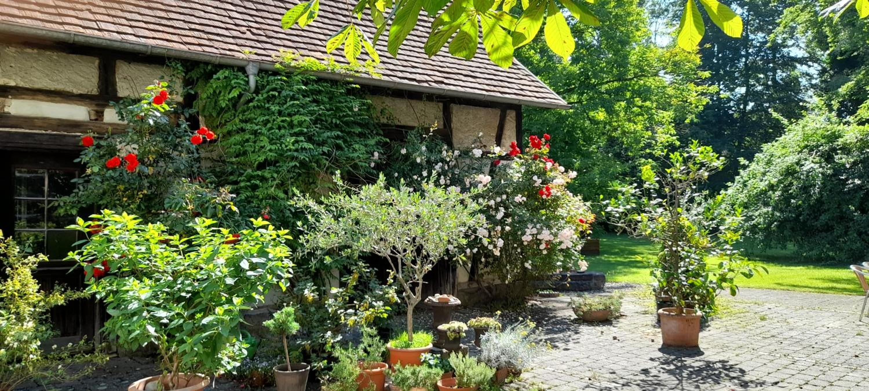 villaflora Gästehaus view 5