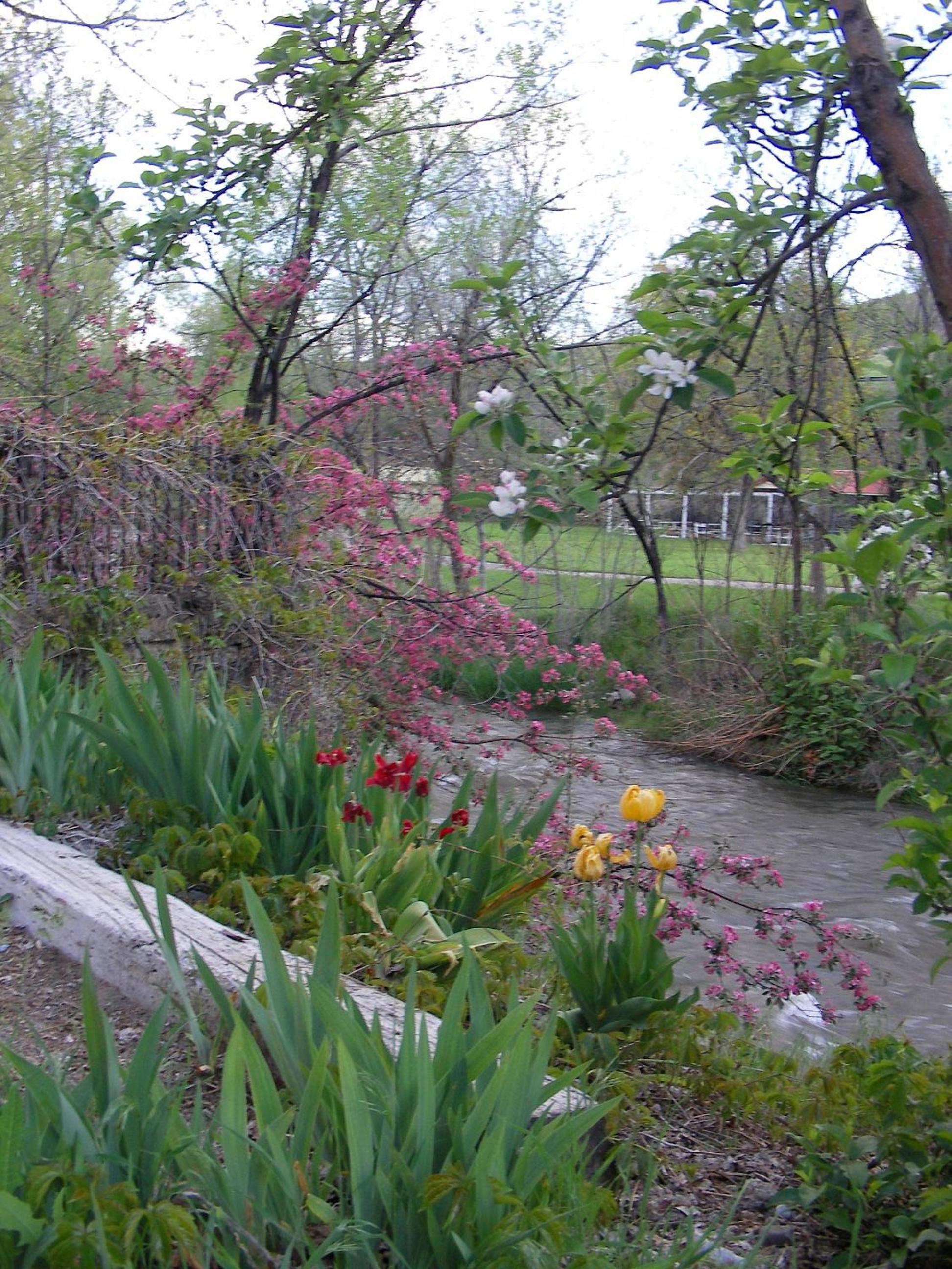 Riverside Hot Springs Inn & Spa - Adults Only