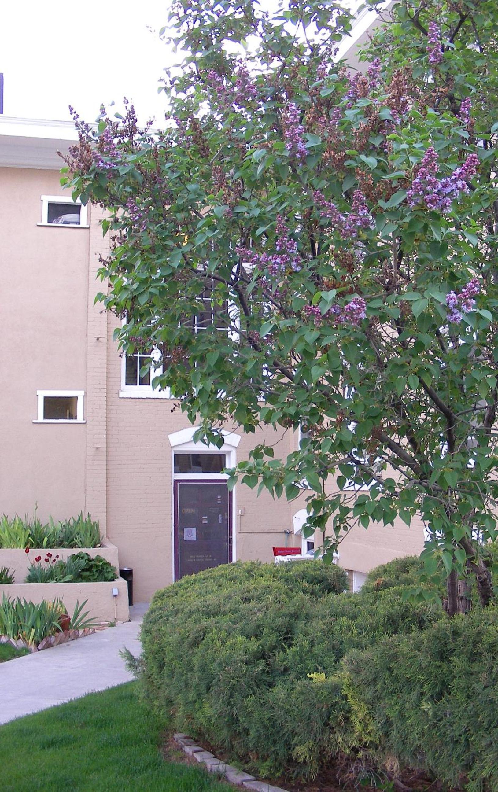Photo 7