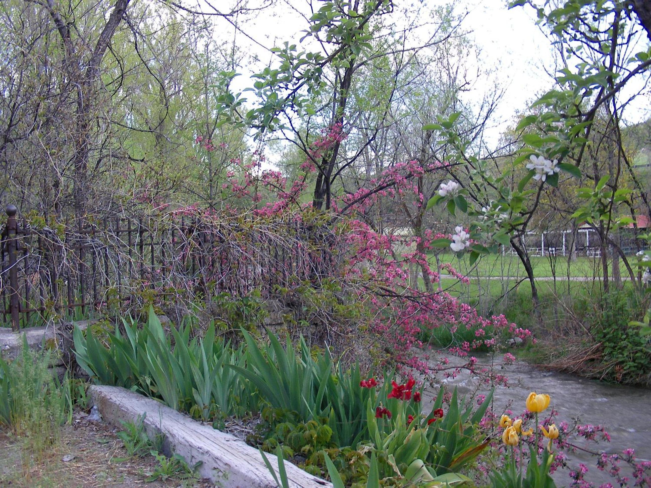 Photo 9