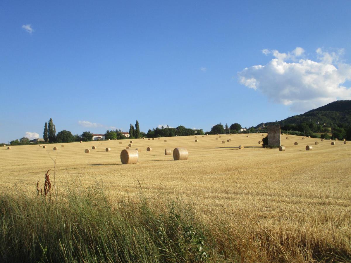IL RISVEGLIO DEI SENSI (antisismica) photo 2