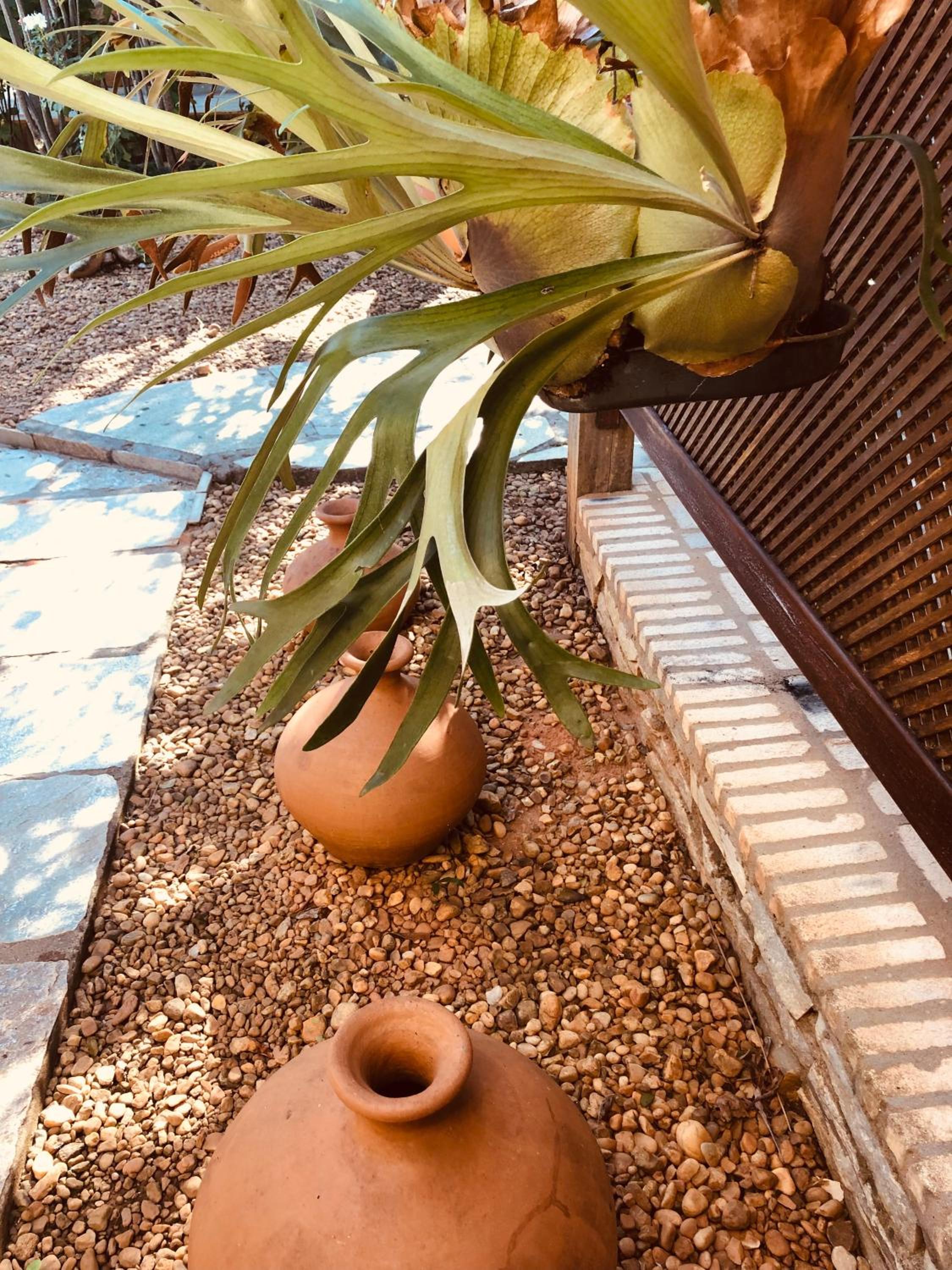 Photo 42