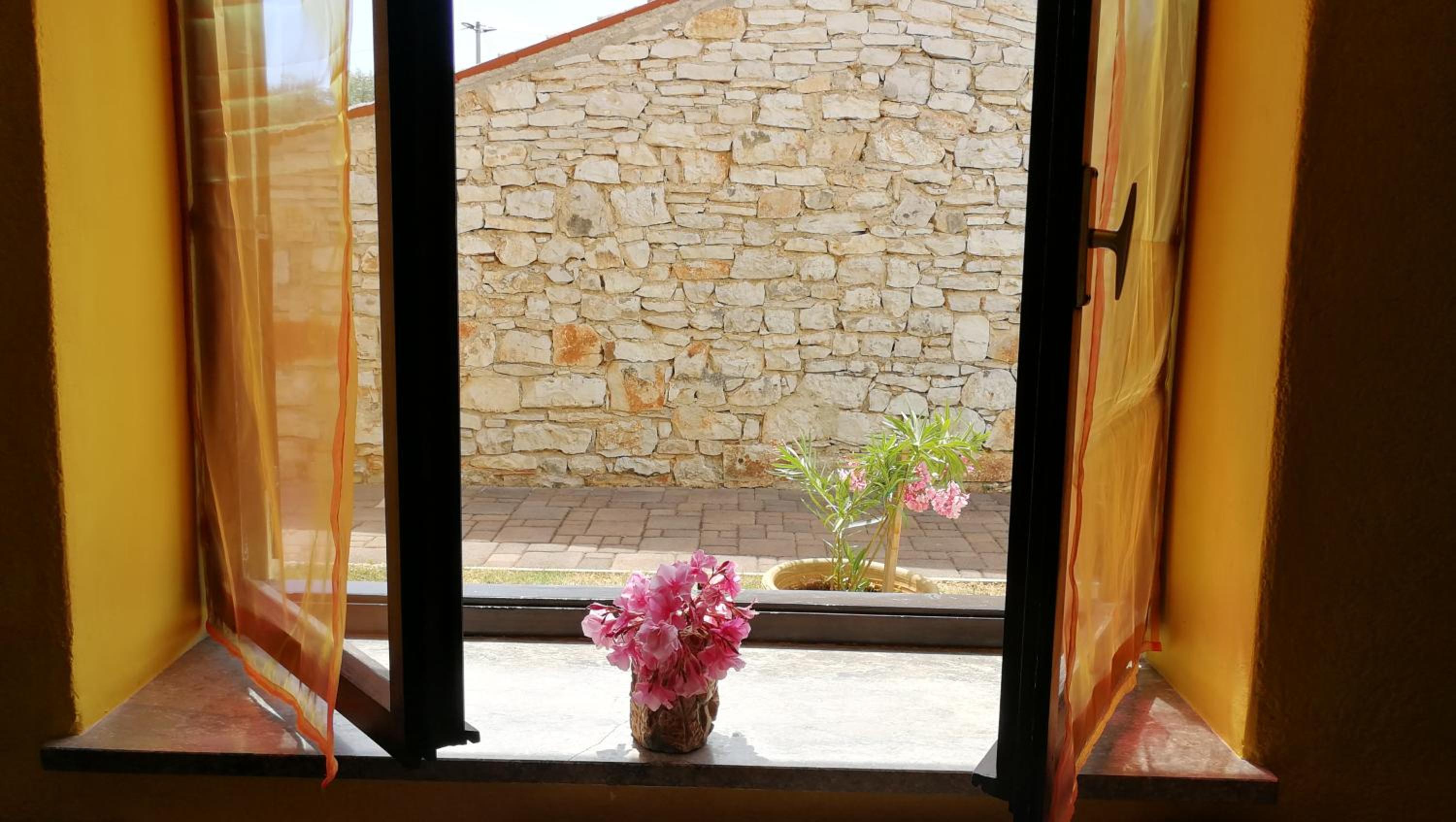 Photo 46