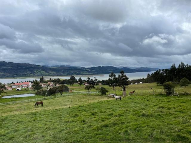 Altozano Cabañas