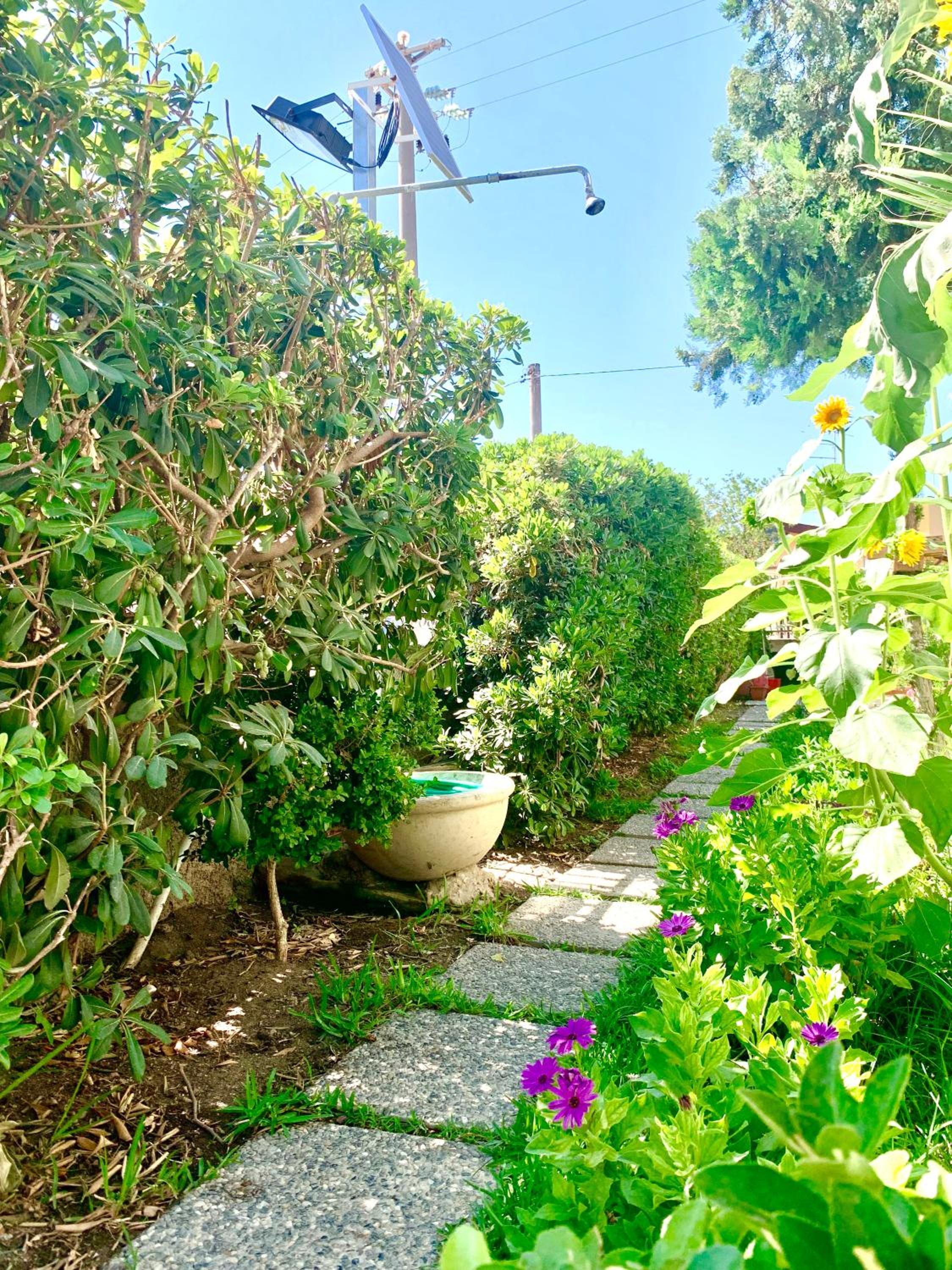 Photo 31