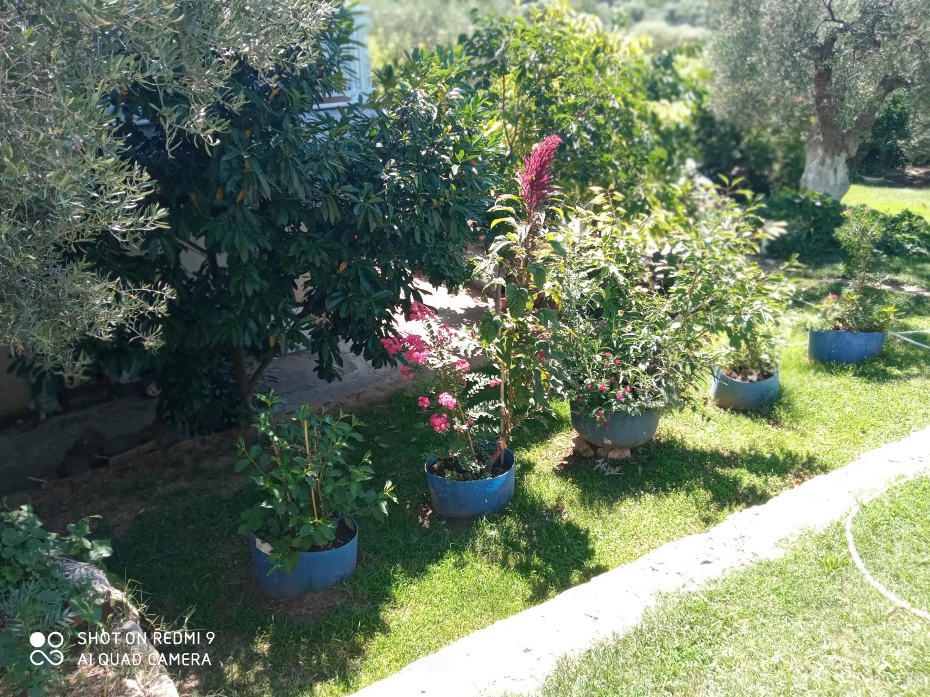 BELLA-CAZA