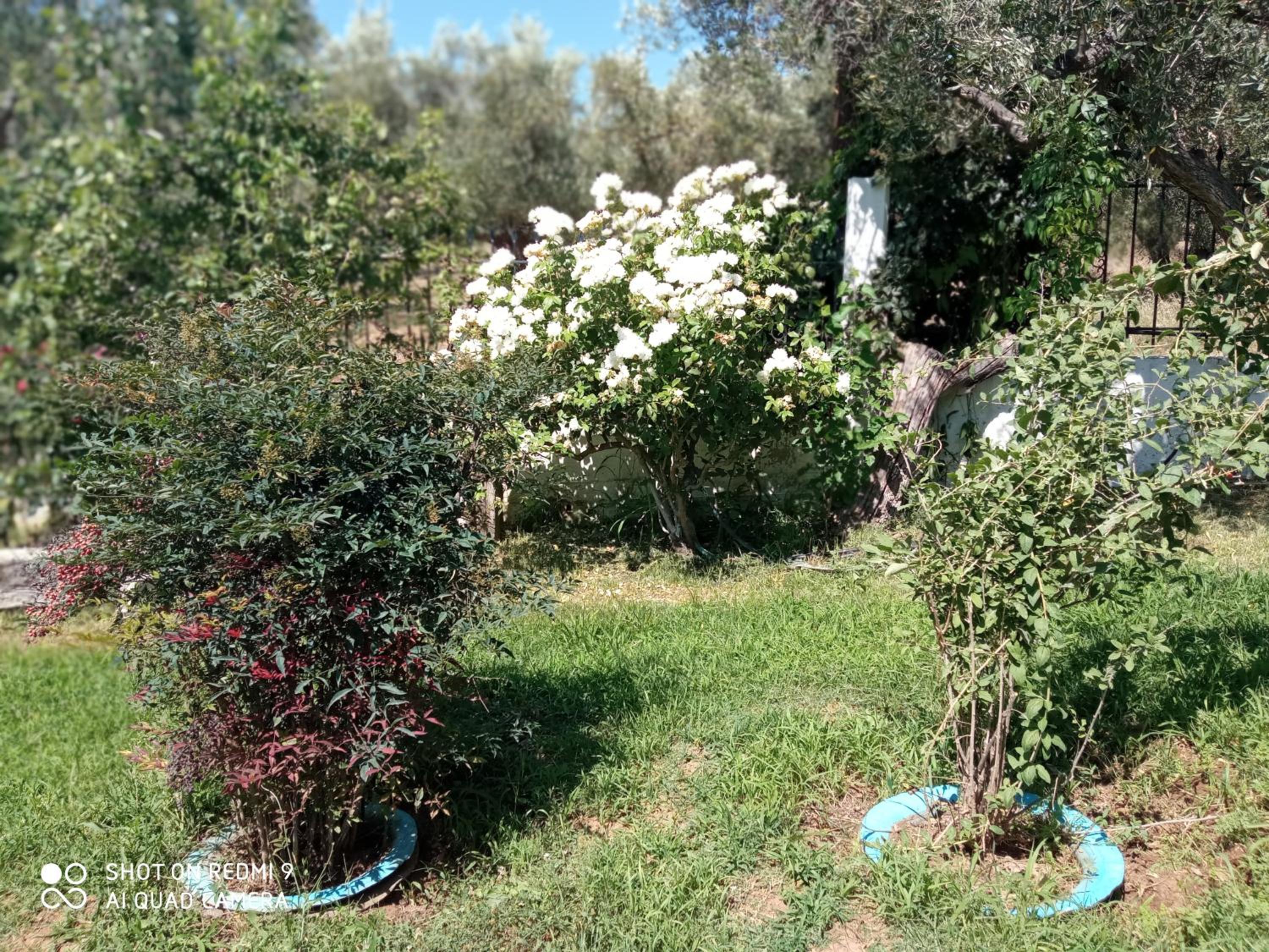 BELLA-CAZA