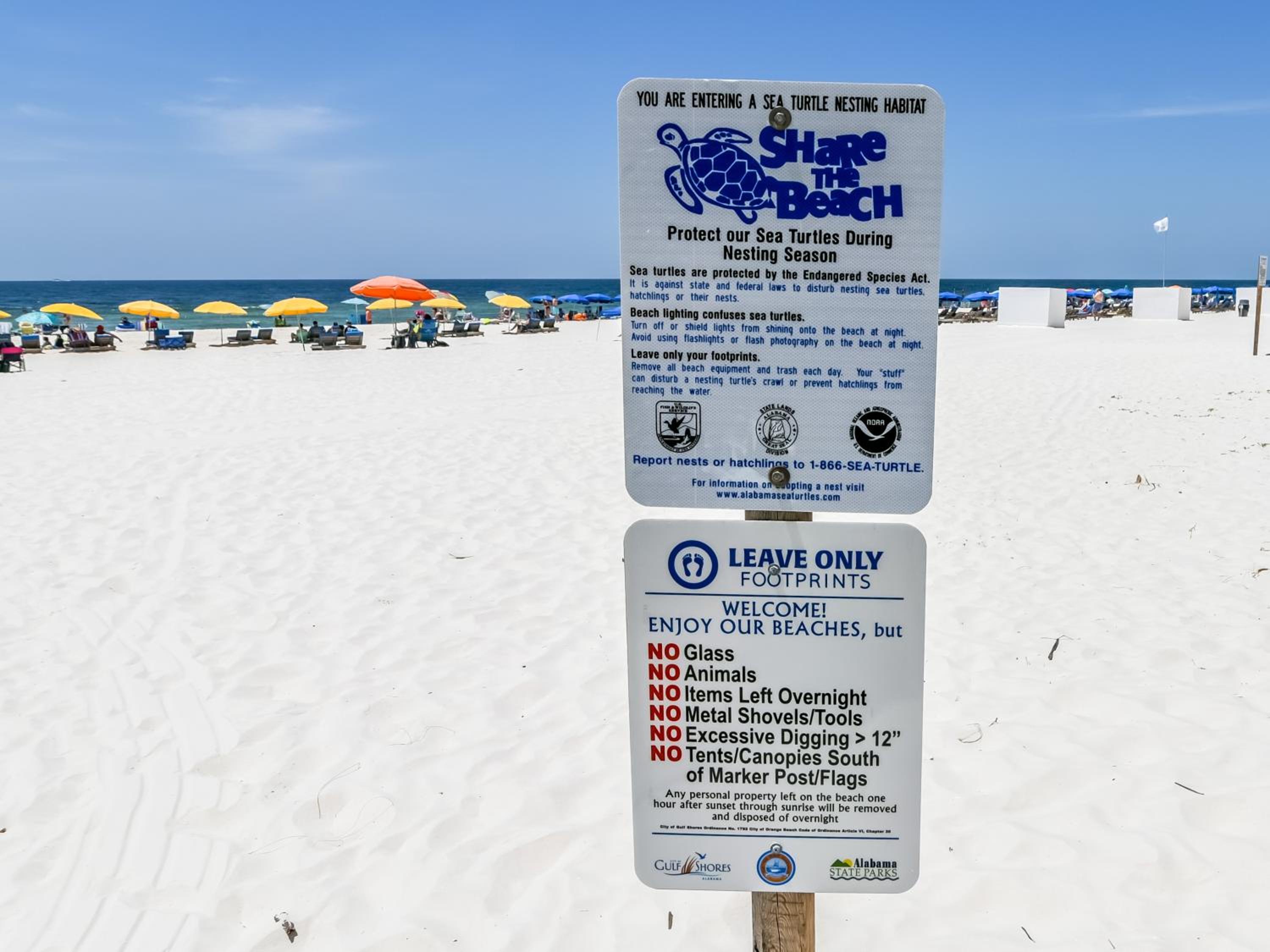 Royal Gulf Beach & Racquet Club 5802