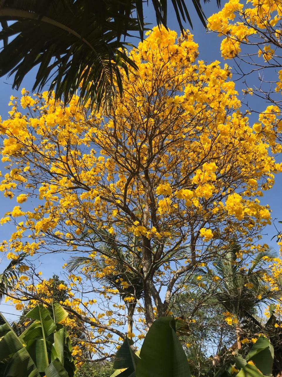 Cantinho do Paraíso