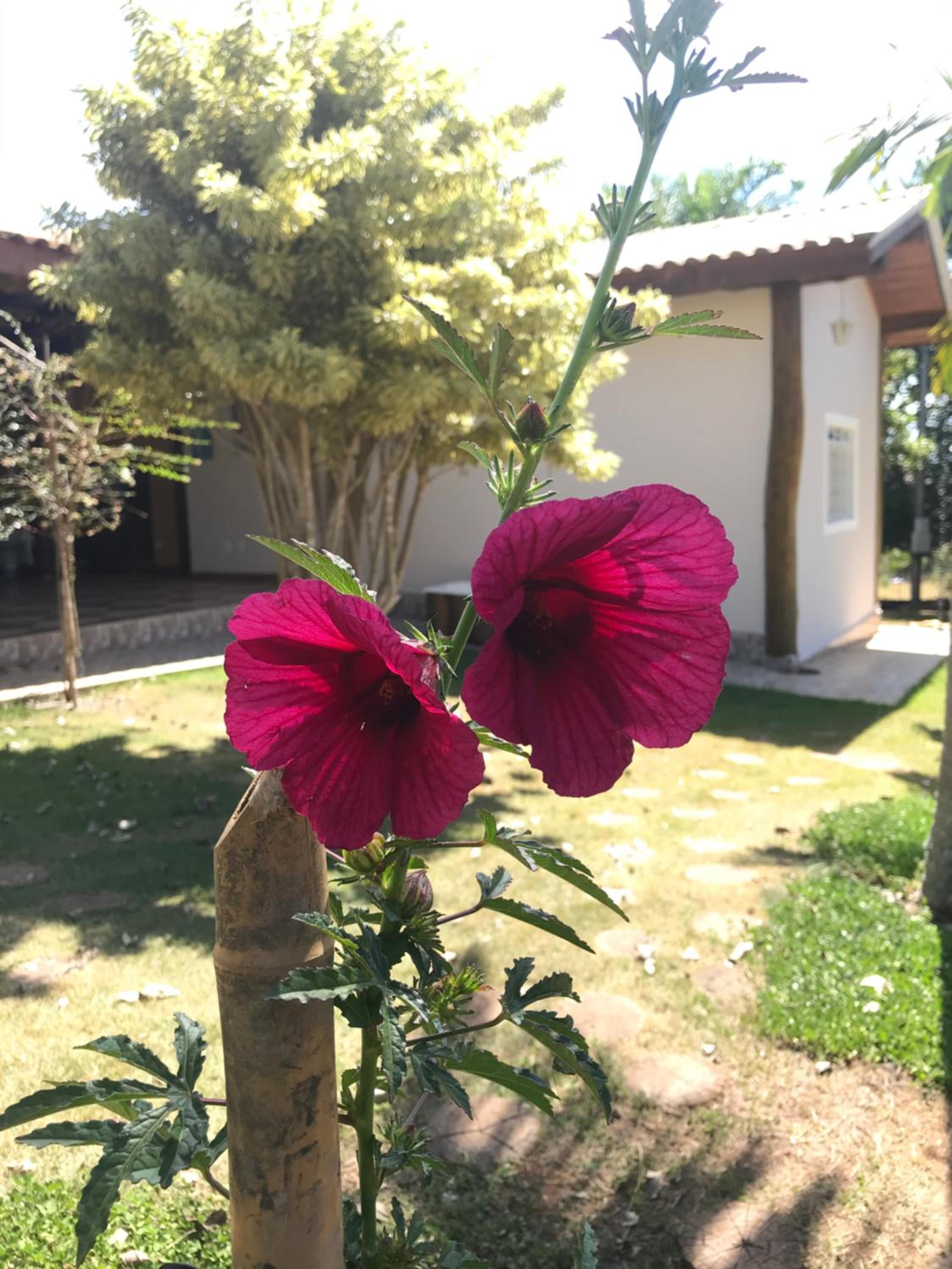 Cantinho do Paraíso
