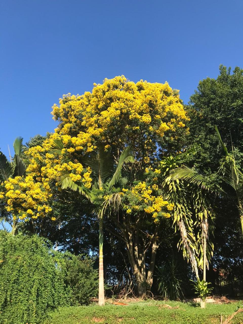 Cantinho do Paraíso
